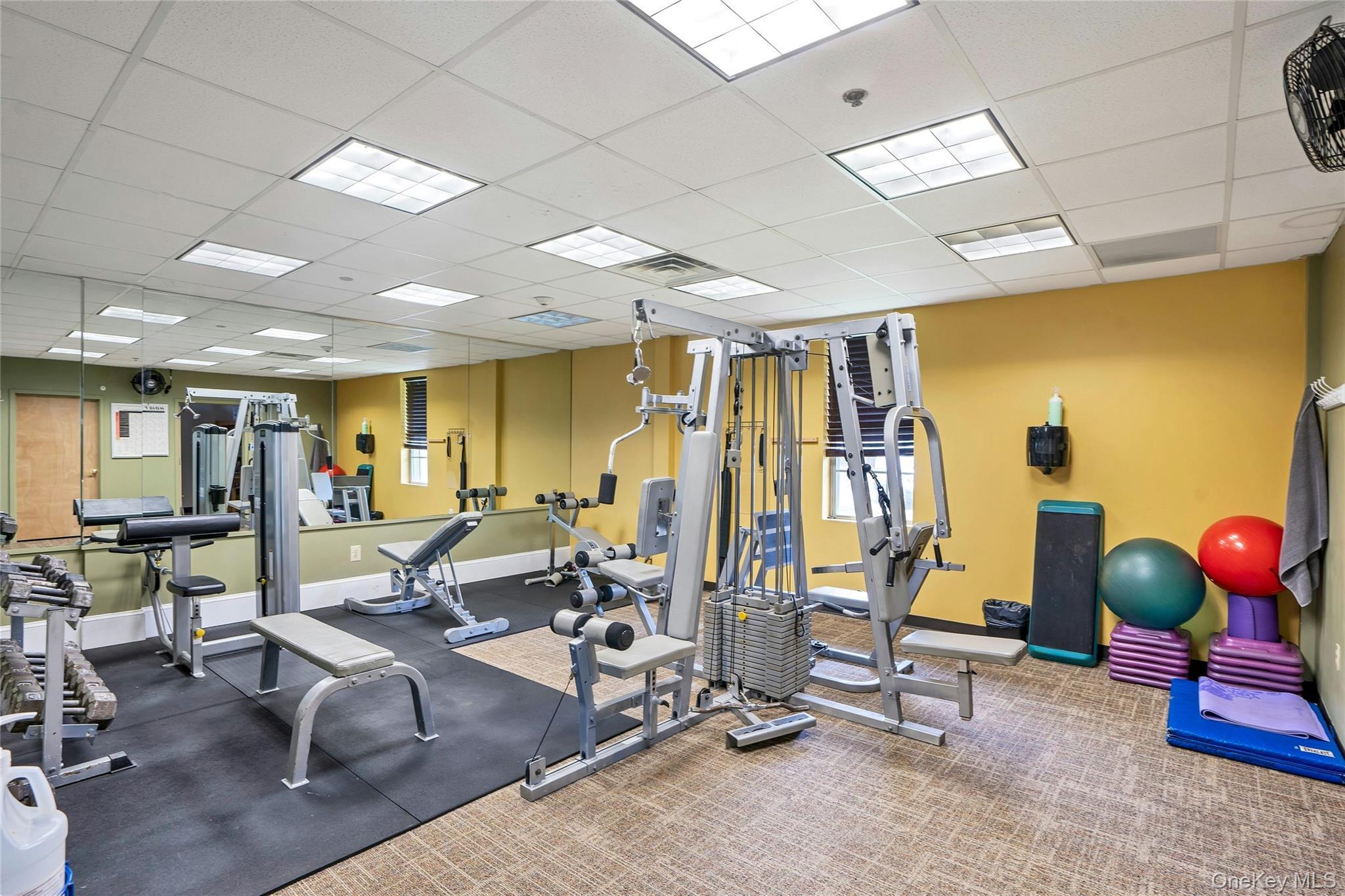 Condo Birchwood Park Suffolk County, NY 11953, MLS-981925-24