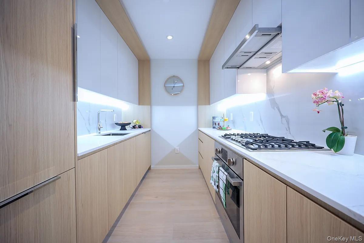 Condo 61st  Queens, NY 11377, MLS-981951-3