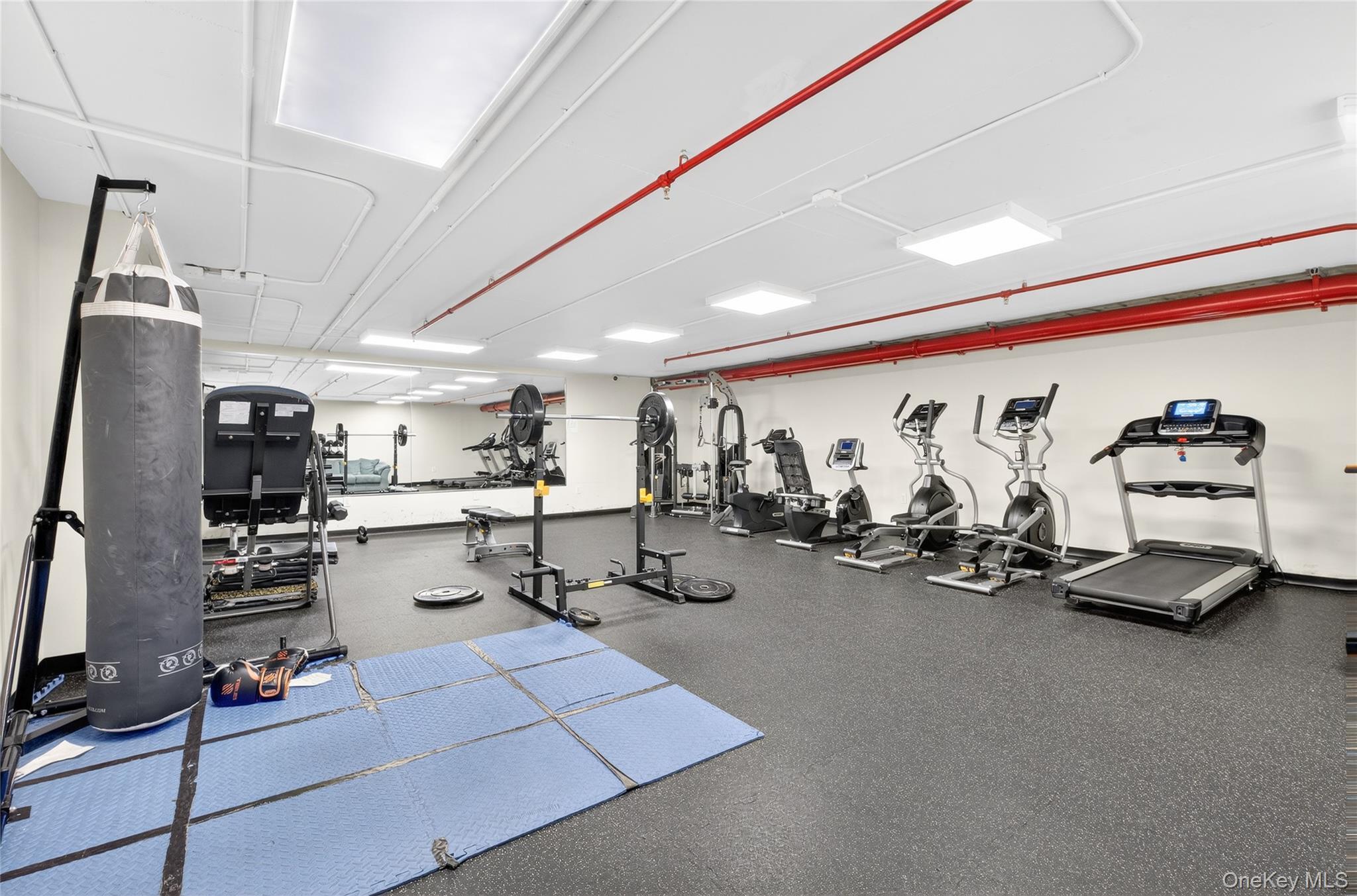 Condo 37th  Queens, NY 11354, MLS-981961-11