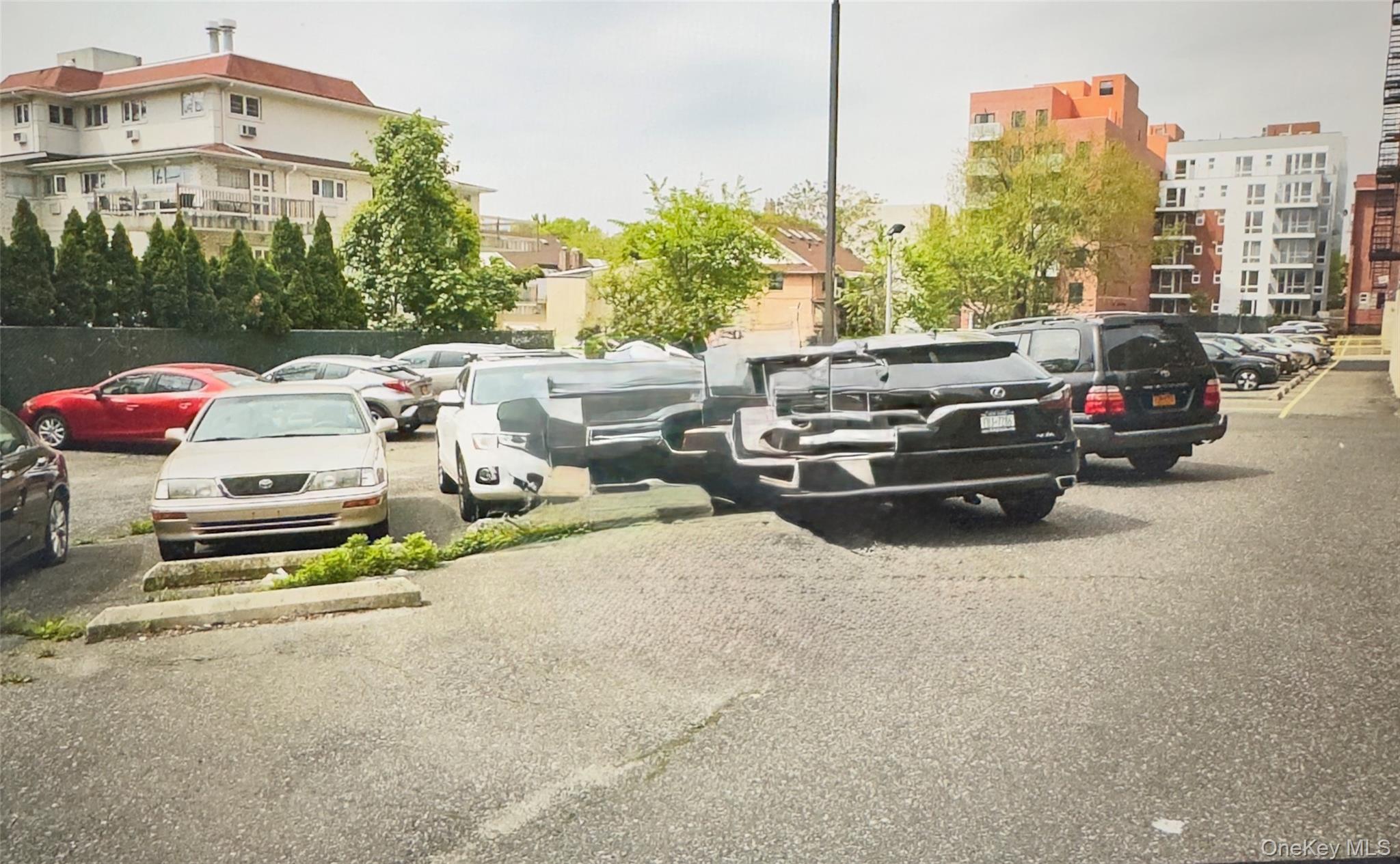 Coop Sanford  Queens, NY 11355, MLS-981989-5