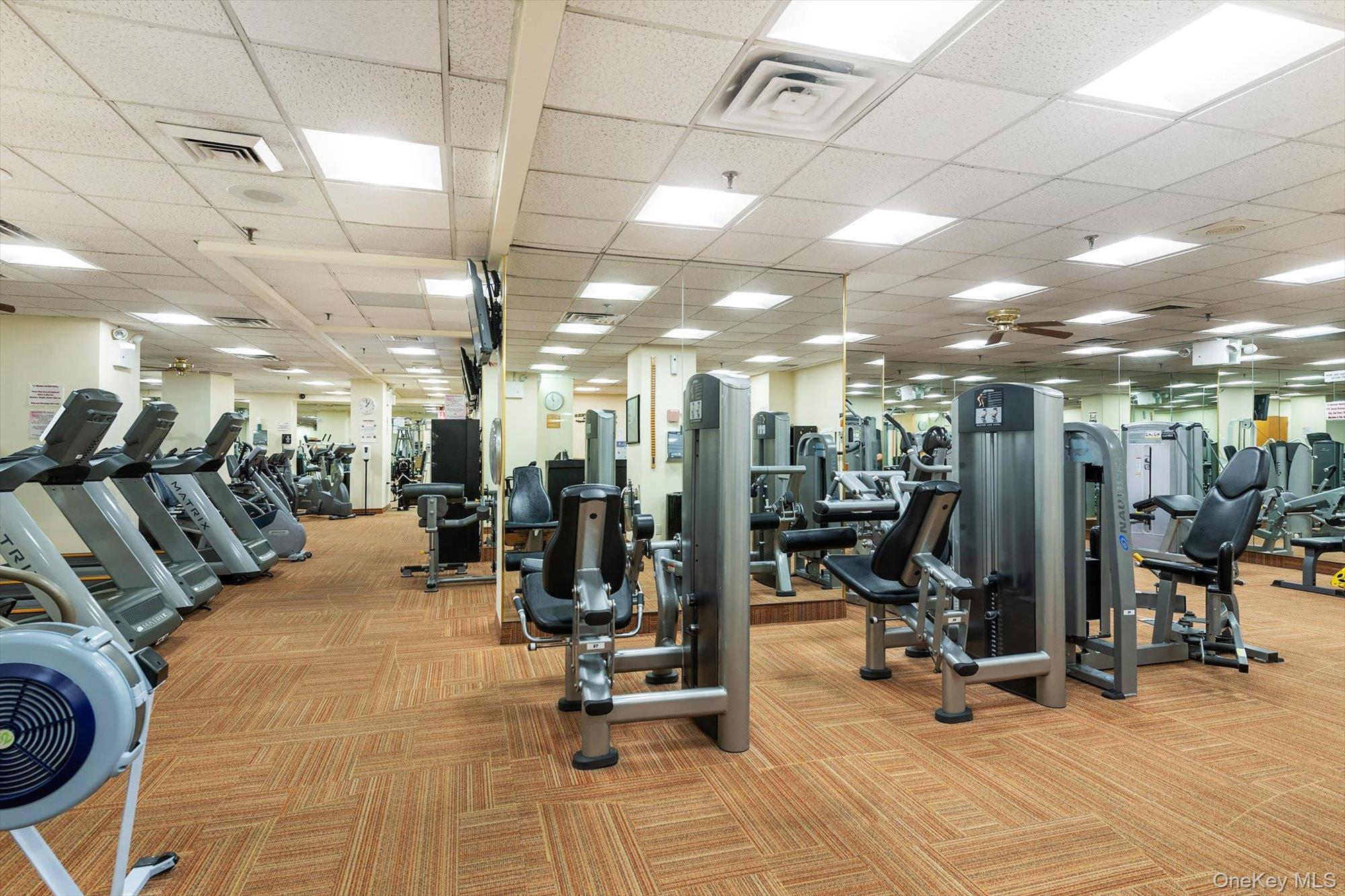 Coop Grand Central  Queens, NY 11005, MLS-981991-35