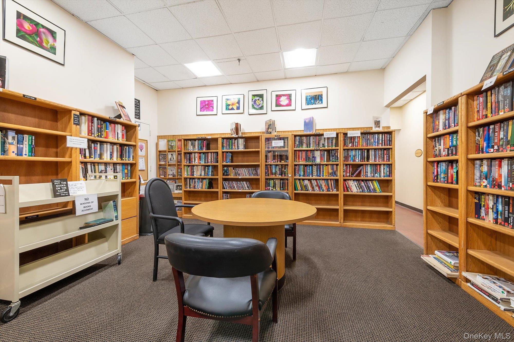 Coop Grand Central  Queens, NY 11005, MLS-981991-37