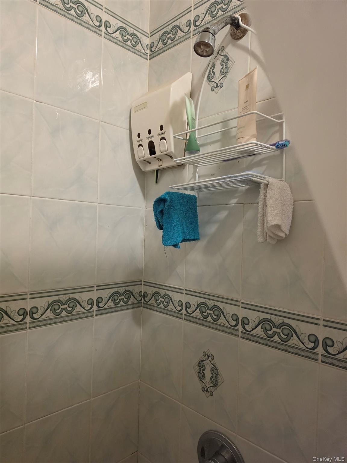 Single Family 116th  Queens, NY 11434, MLS-982072-9