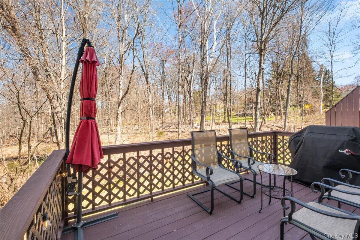 Single Family Sandpiper  Westchester County, NY 10598, MLS-982129-43