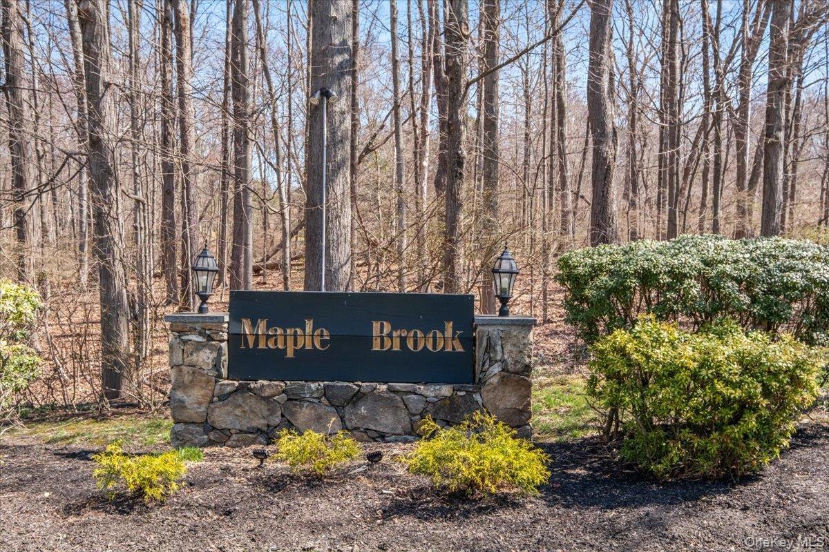 Single Family Sandpiper  Westchester County, NY 10598, MLS-982129-50