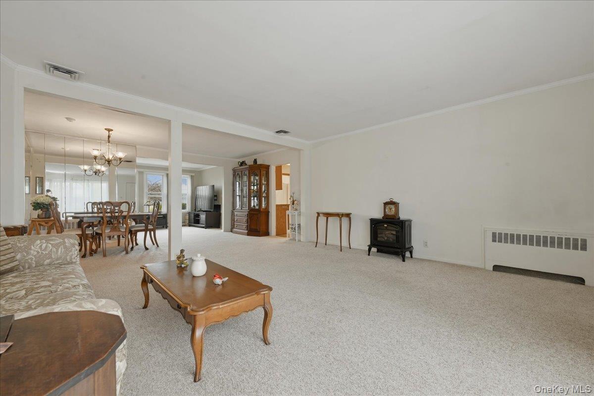 Single Family Jasmine  Nassau County, NY 11581, MLS-982143-7