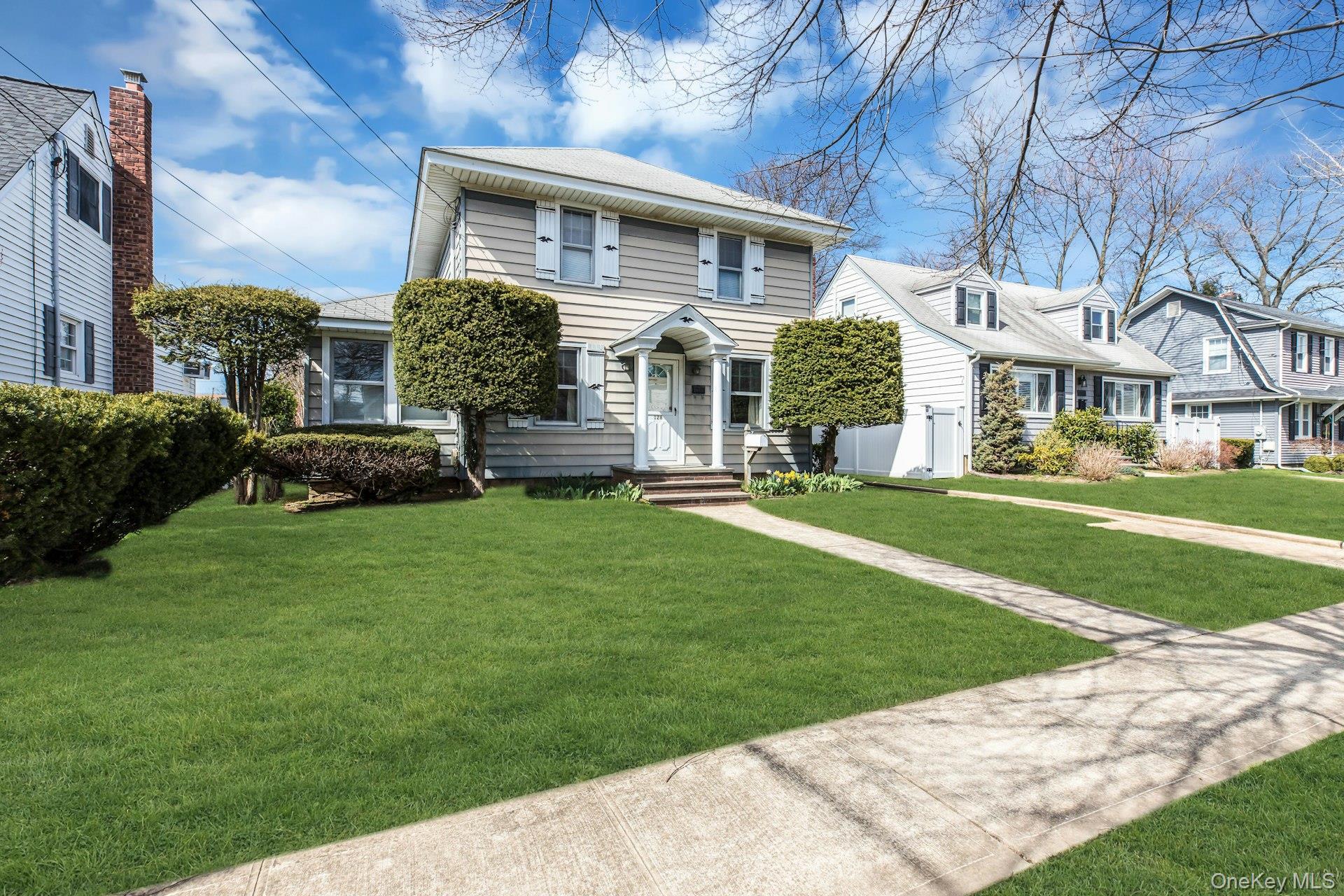 Single Family Stuyvesant  Nassau County, NY 11566, MLS-982152-3