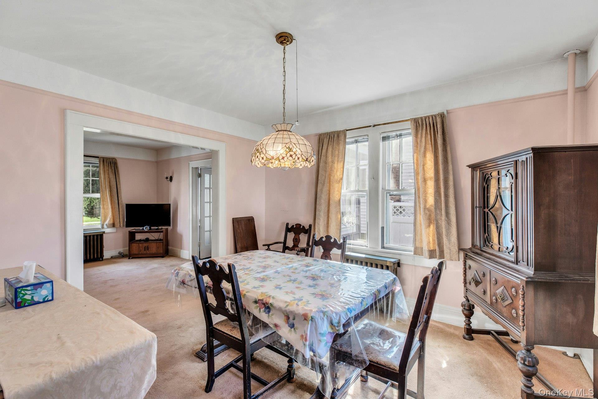 Single Family Stuyvesant  Nassau County, NY 11566, MLS-982152-6