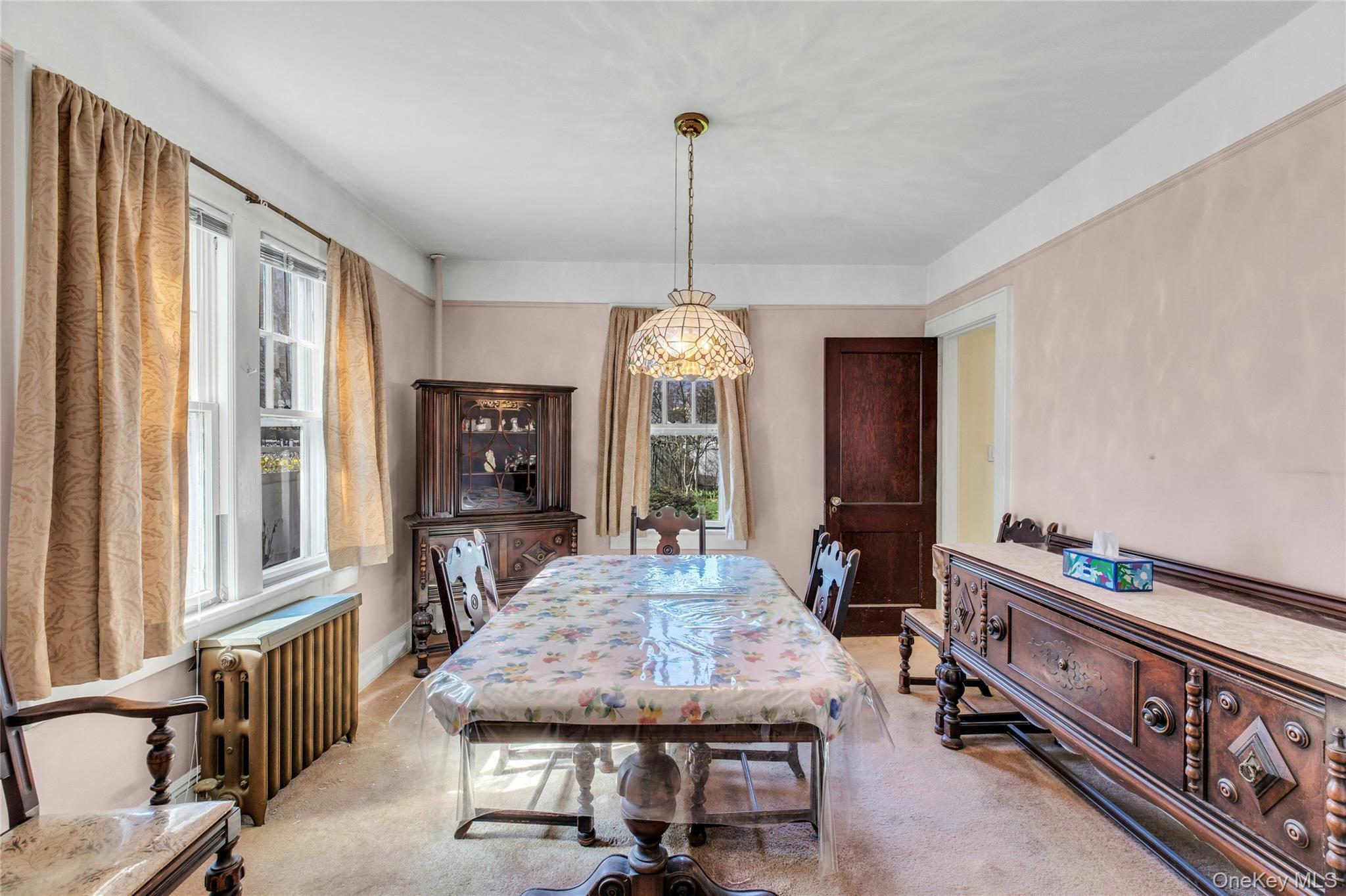 Single Family Stuyvesant  Nassau County, NY 11566, MLS-982152-7