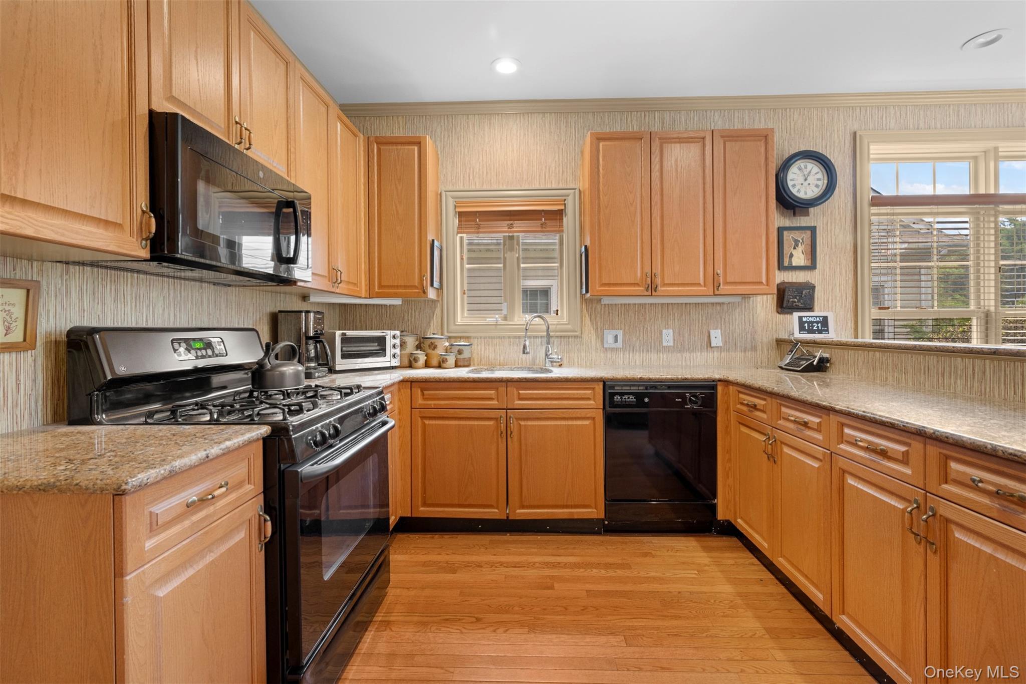 Condo Overlook  Nassau County, NY 11050, MLS-982160-13