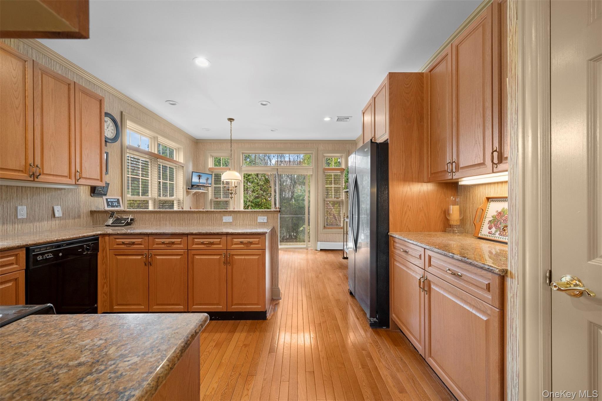 Condo Overlook  Nassau County, NY 11050, MLS-982160-15