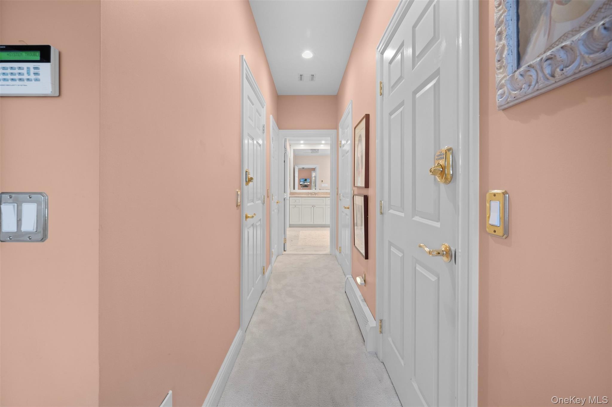 Condo Overlook  Nassau County, NY 11050, MLS-982160-25