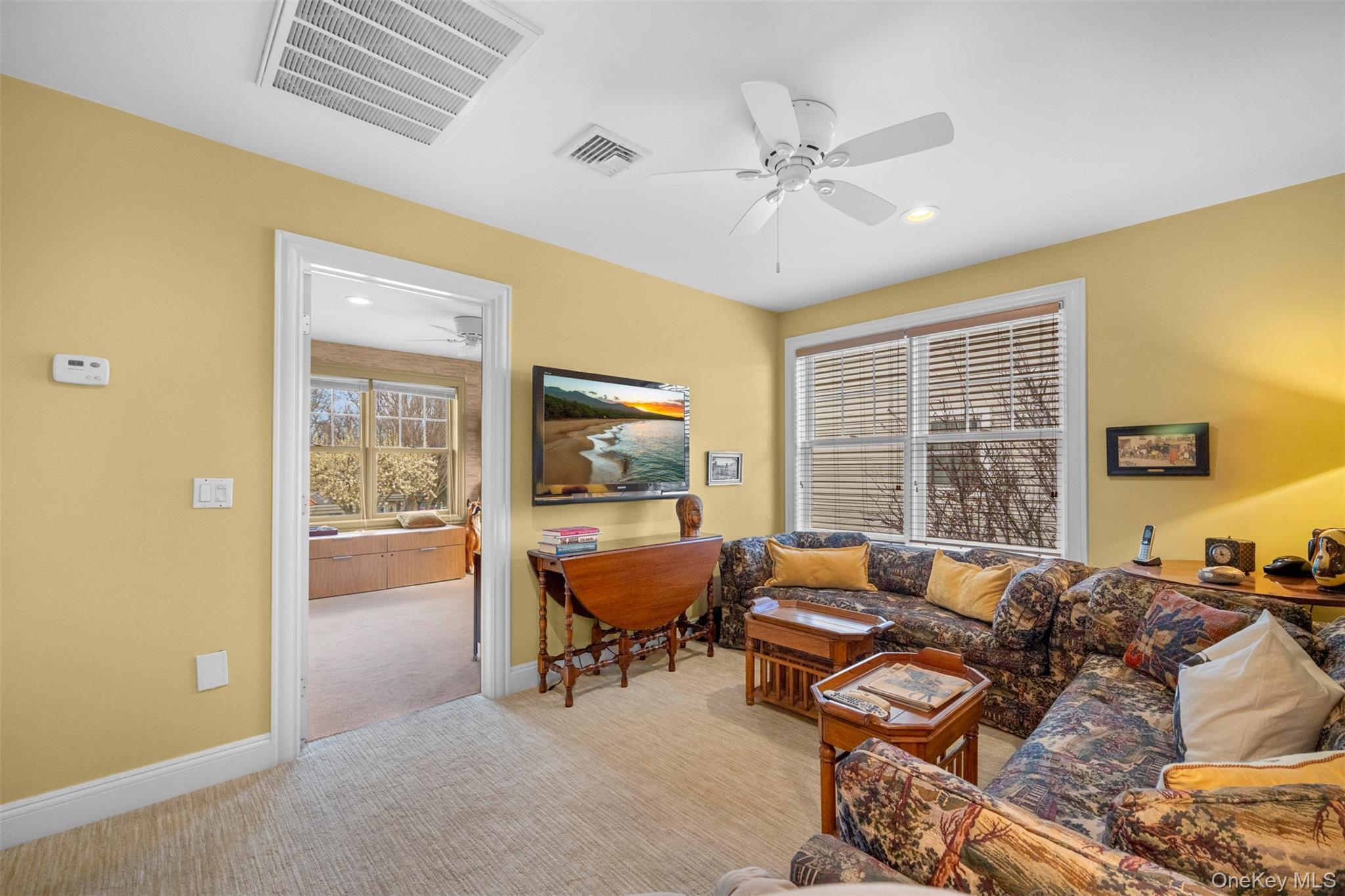 Condo Overlook  Nassau County, NY 11050, MLS-982160-31