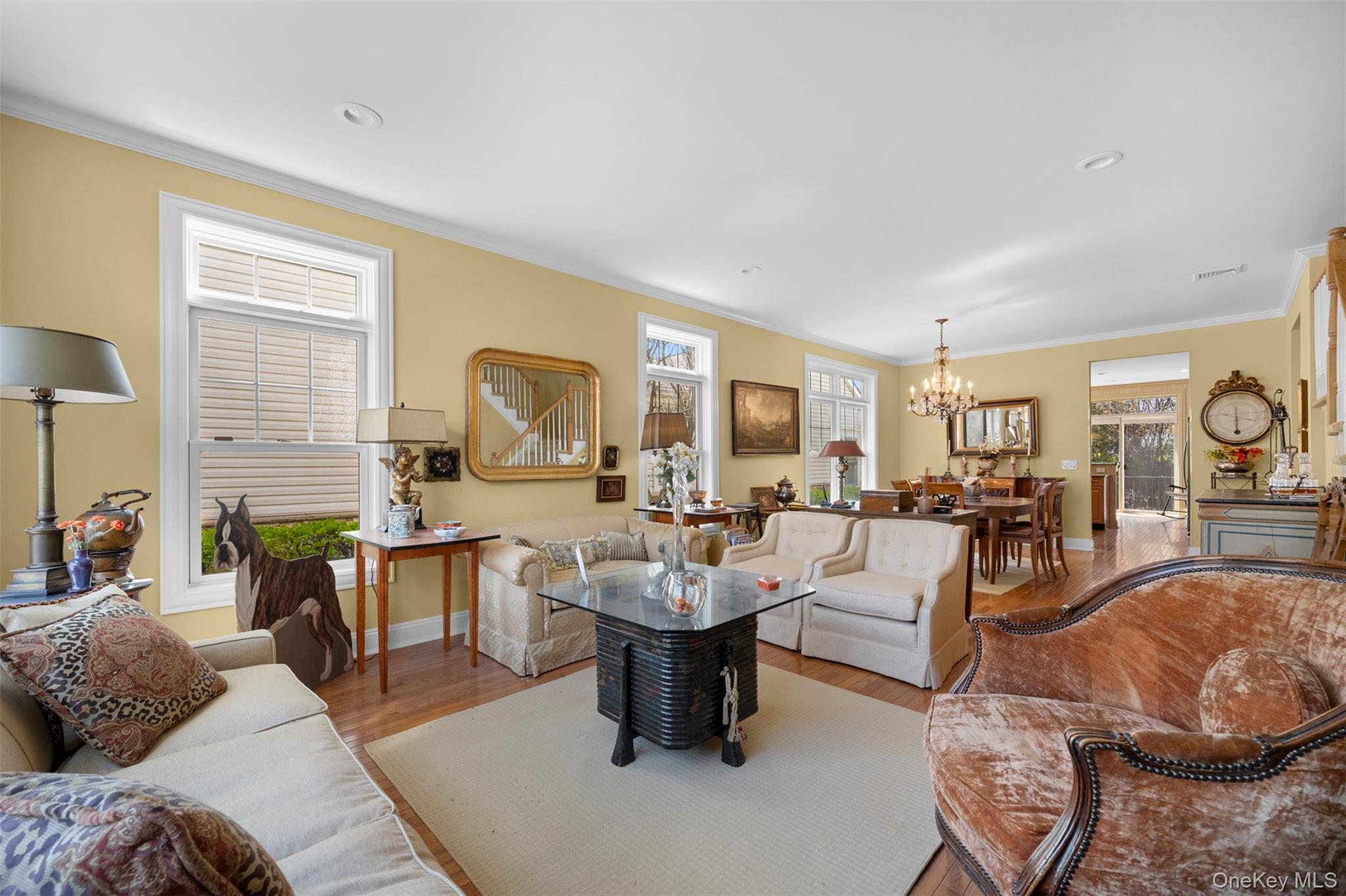 Condo Overlook  Nassau County, NY 11050, MLS-982160-8