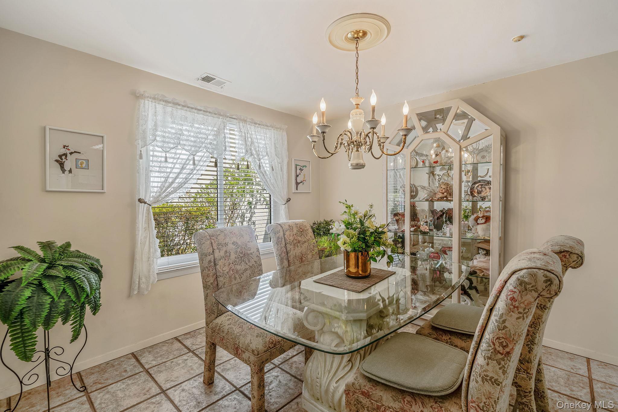 Condo Birchwood  Suffolk County, NY 11763, MLS-982215-10