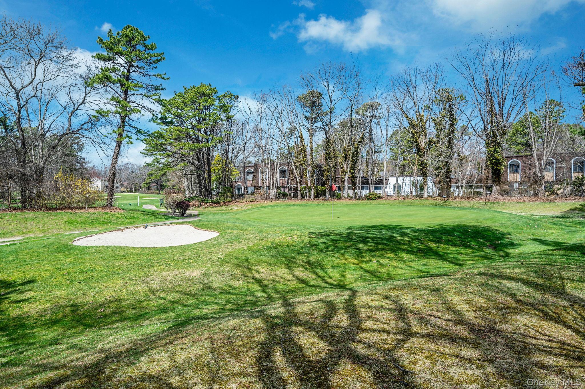 Condo Birchwood  Suffolk County, NY 11763, MLS-982215-22