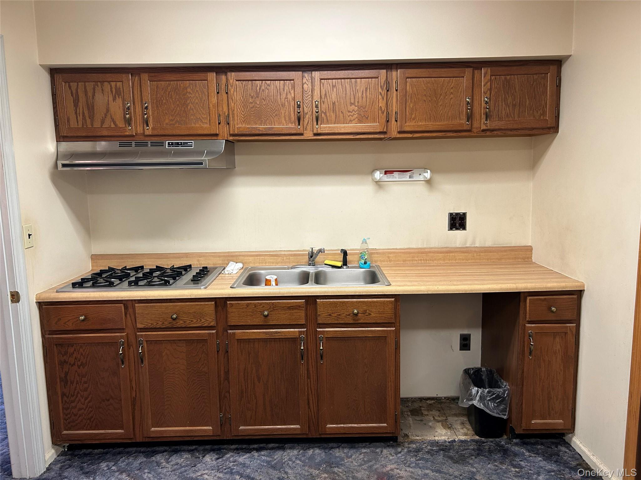 Single Family Orange Turnpike Rockland County, NY 10974, MLS-982248-12