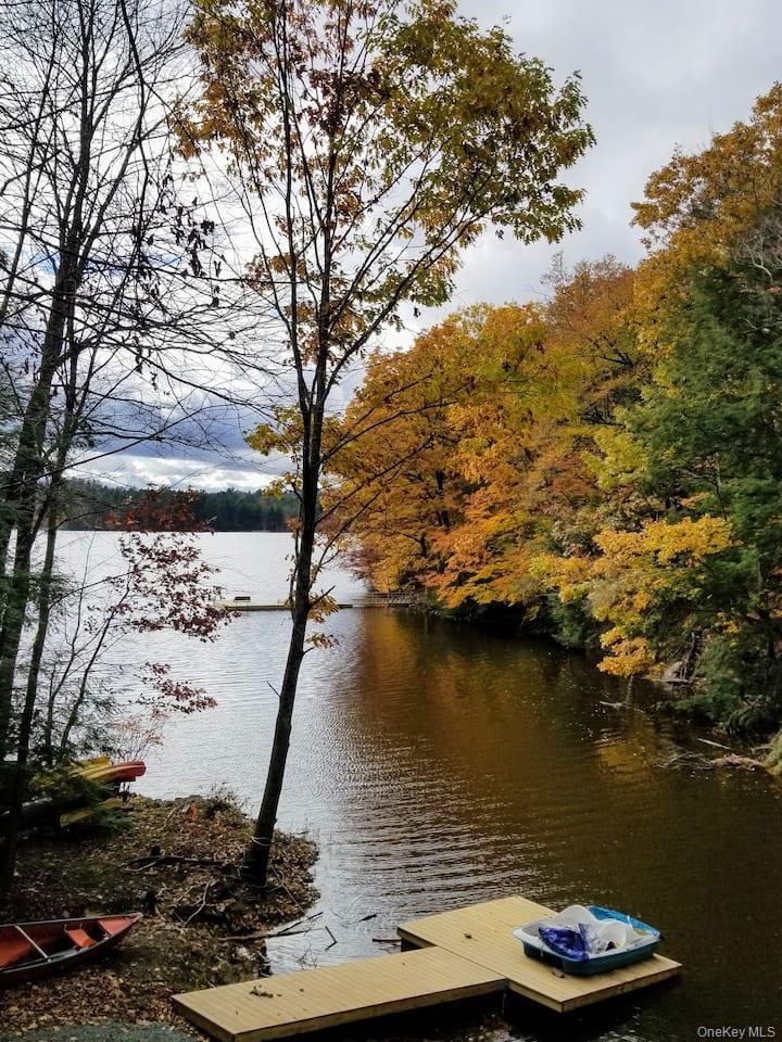 Single Family Starlight Road  Sullivan County, NY 12701, MLS-982249-29