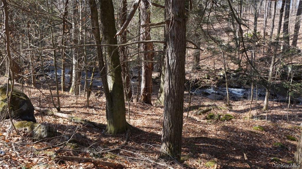 Single Family Starlight Road  Sullivan County, NY 12701, MLS-982249-39