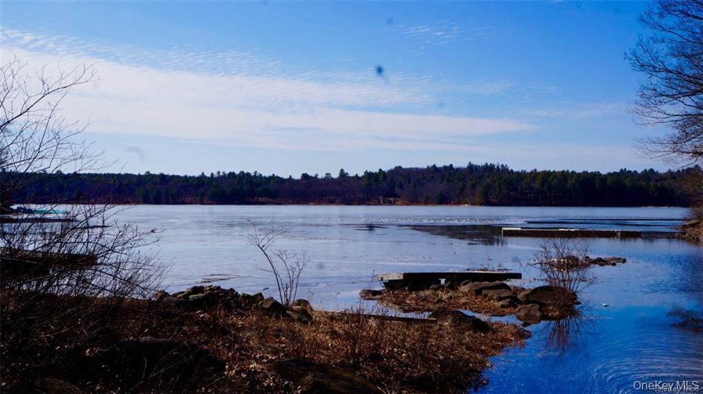 Single Family Starlight Road  Sullivan County, NY 12701, MLS-982249-40