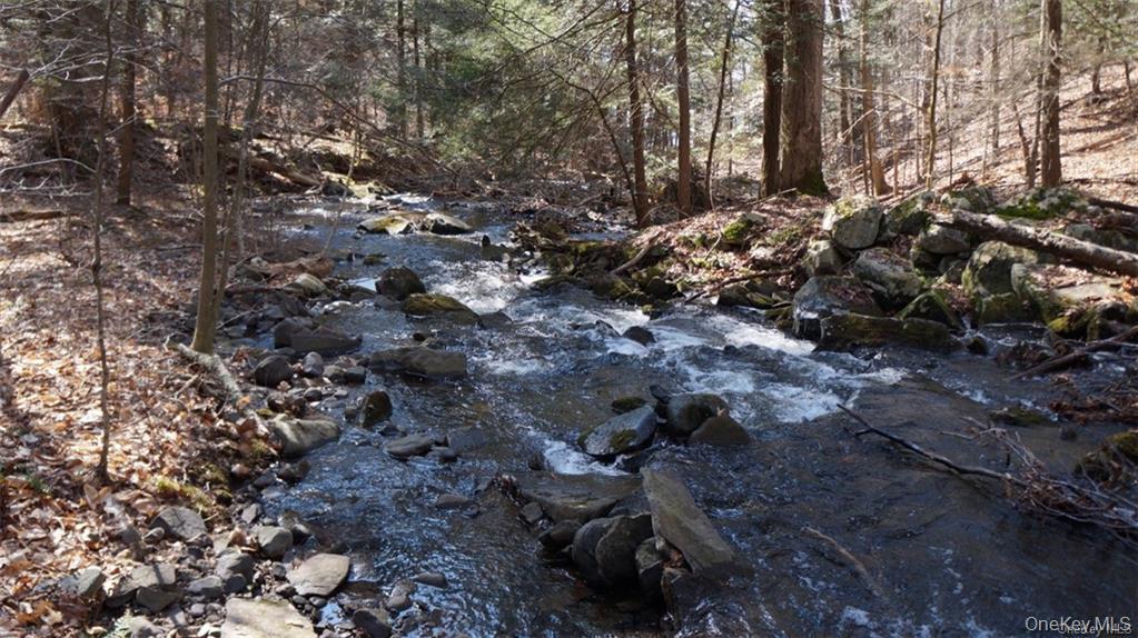 Single Family Starlight Road  Sullivan County, NY 12701, MLS-982249-41