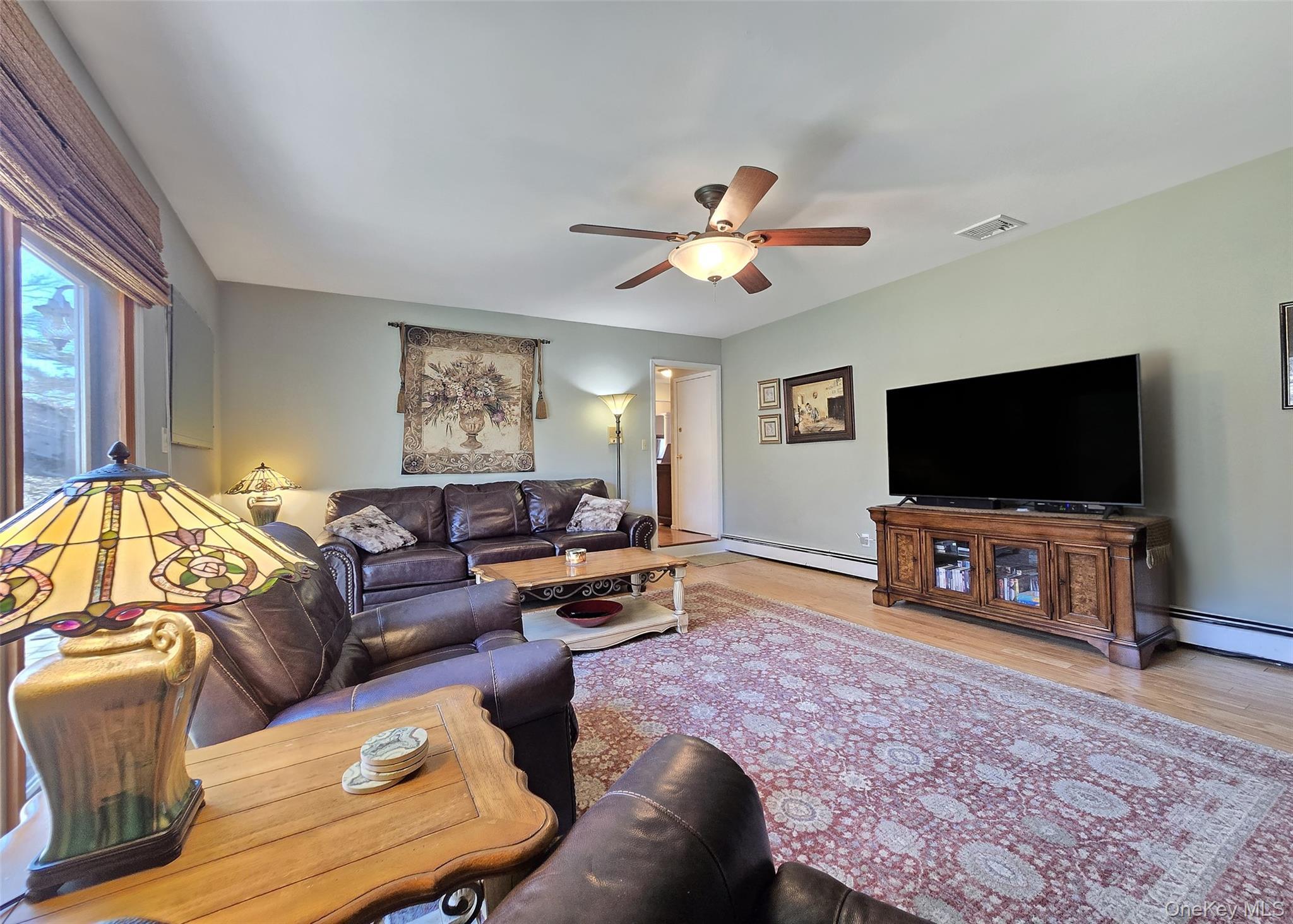 Single Family Ethan  Suffolk County, NY 11779, MLS-982346-9