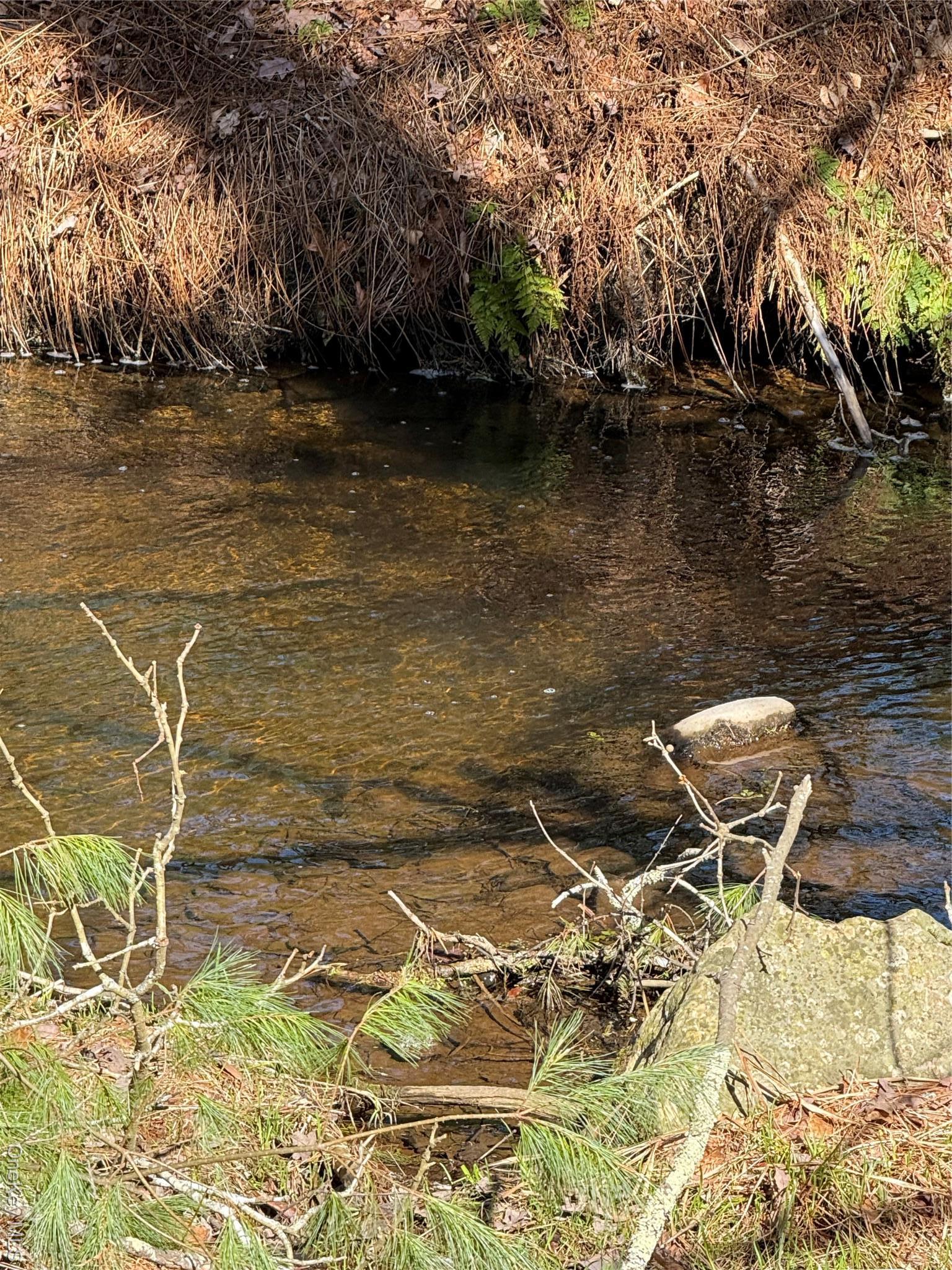 Single Family Crawford  Sullivan County, NY 12528, MLS-982448-5