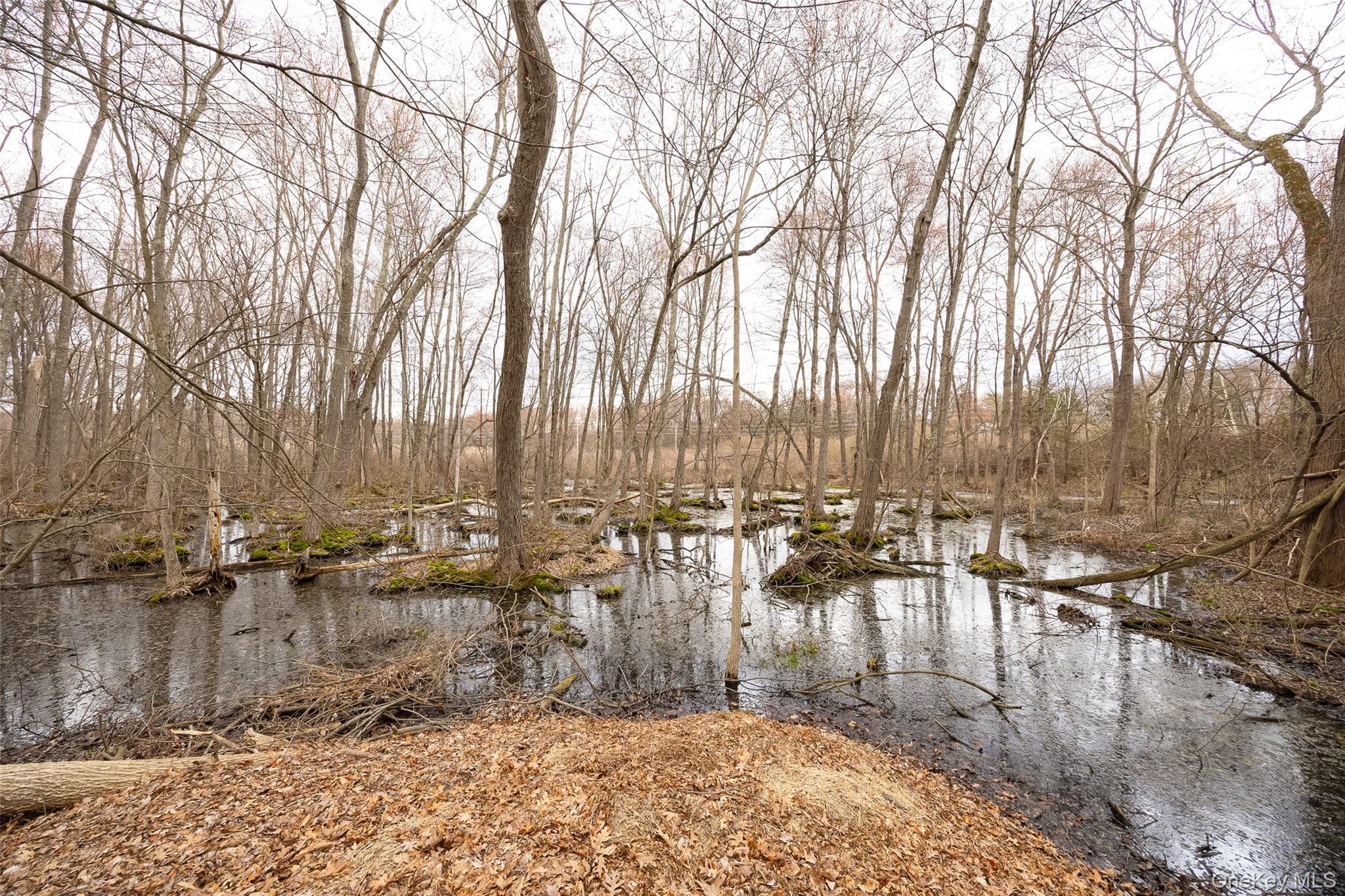 Single Family Julie  Dutchess County, NY 12533, MLS-982458-24