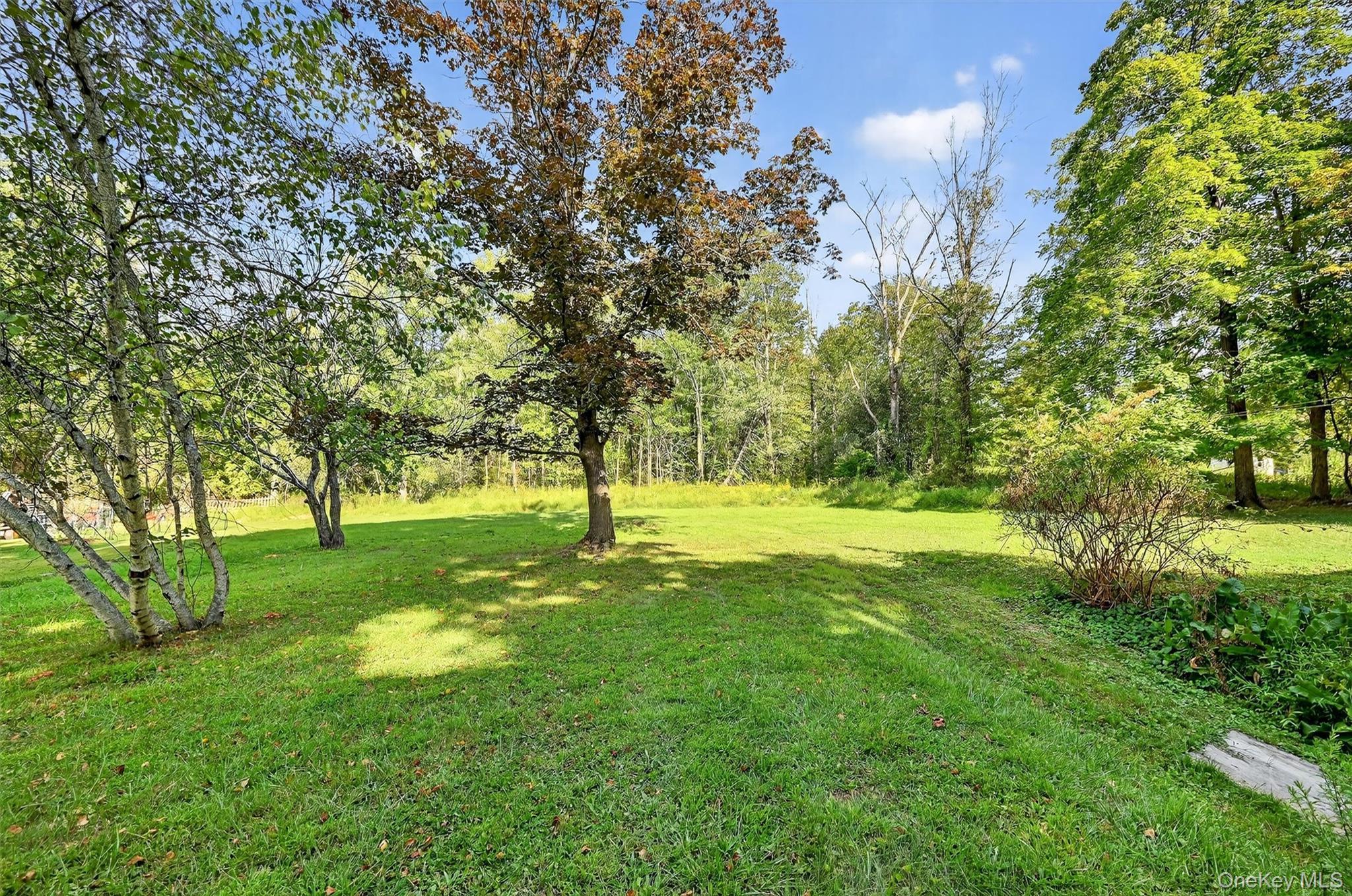 Single Family Main  Orange County, NY 10921, MLS-982464-32