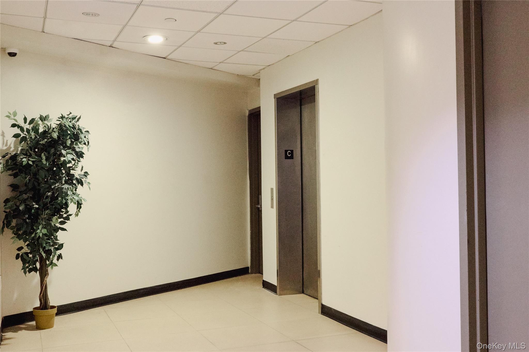 Commercial Lease Parsons  Queens, NY 11355, MLS-982473-12