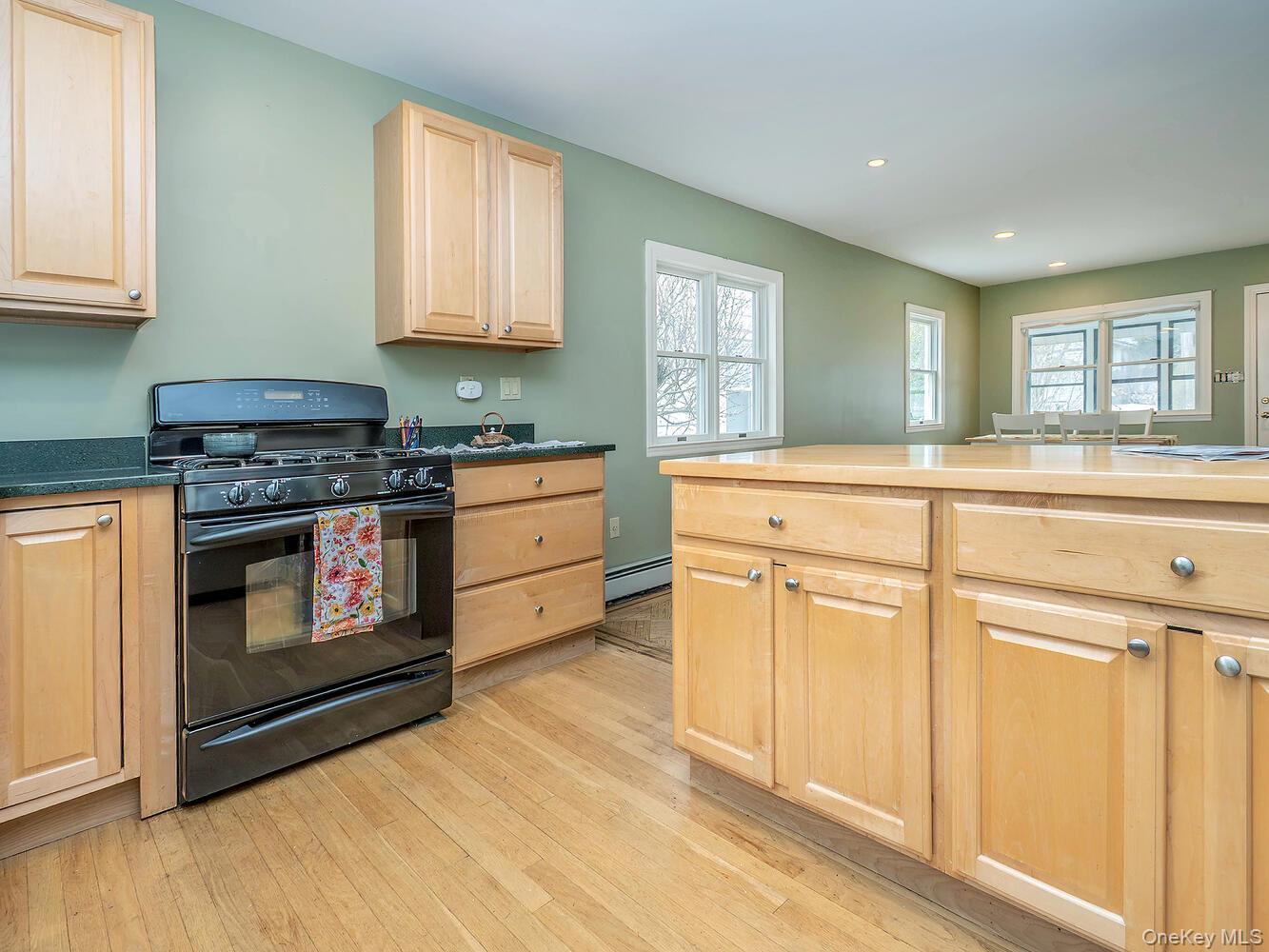 Single Family 9th  Nassau County, NY 11579, MLS-982507-16