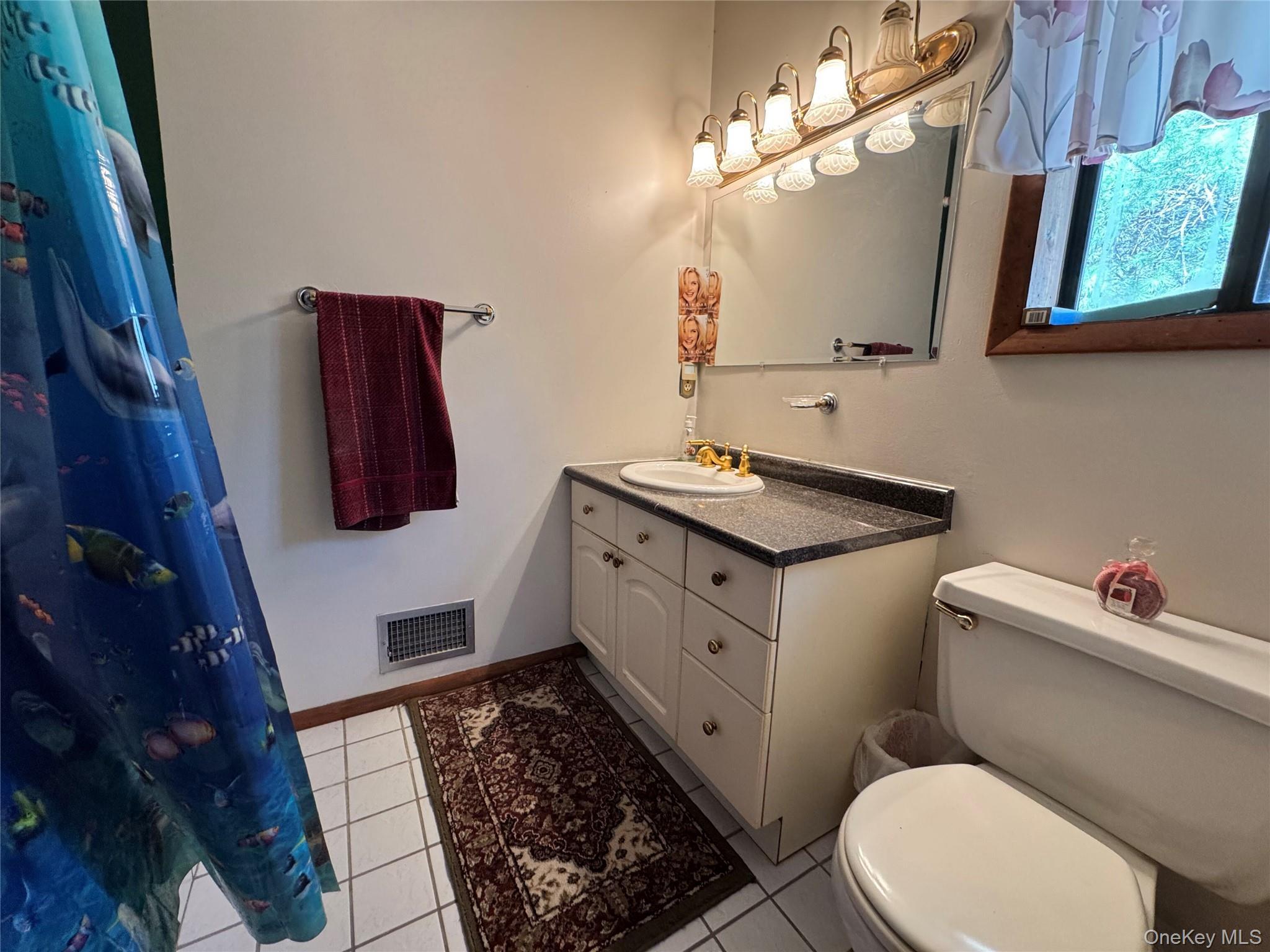 Single Family Gina Lane Sullivan County, NY 12778, MLS-982512-18