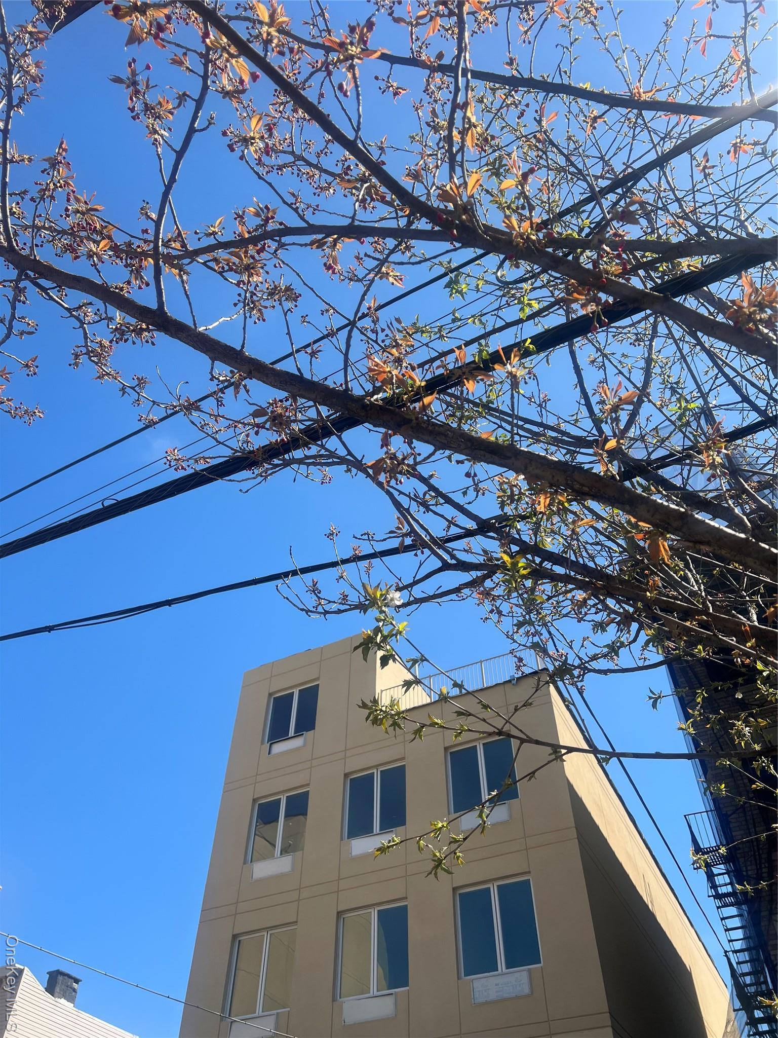 Commercial Sale College  Bronx, NY 10456, MLS-982556-4