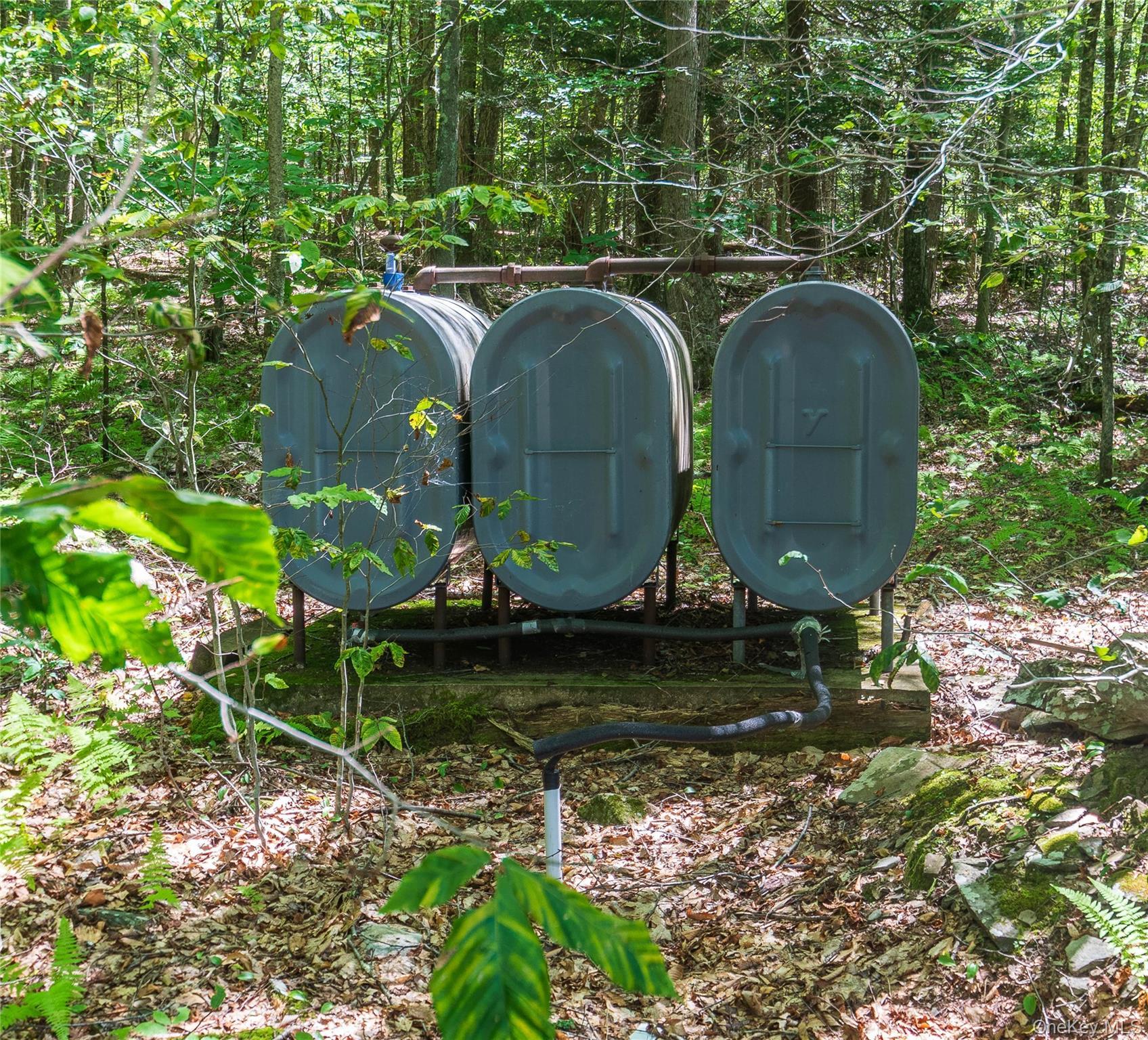 Single Family Grandview Delaware County, NY 13783, MLS-982605-10