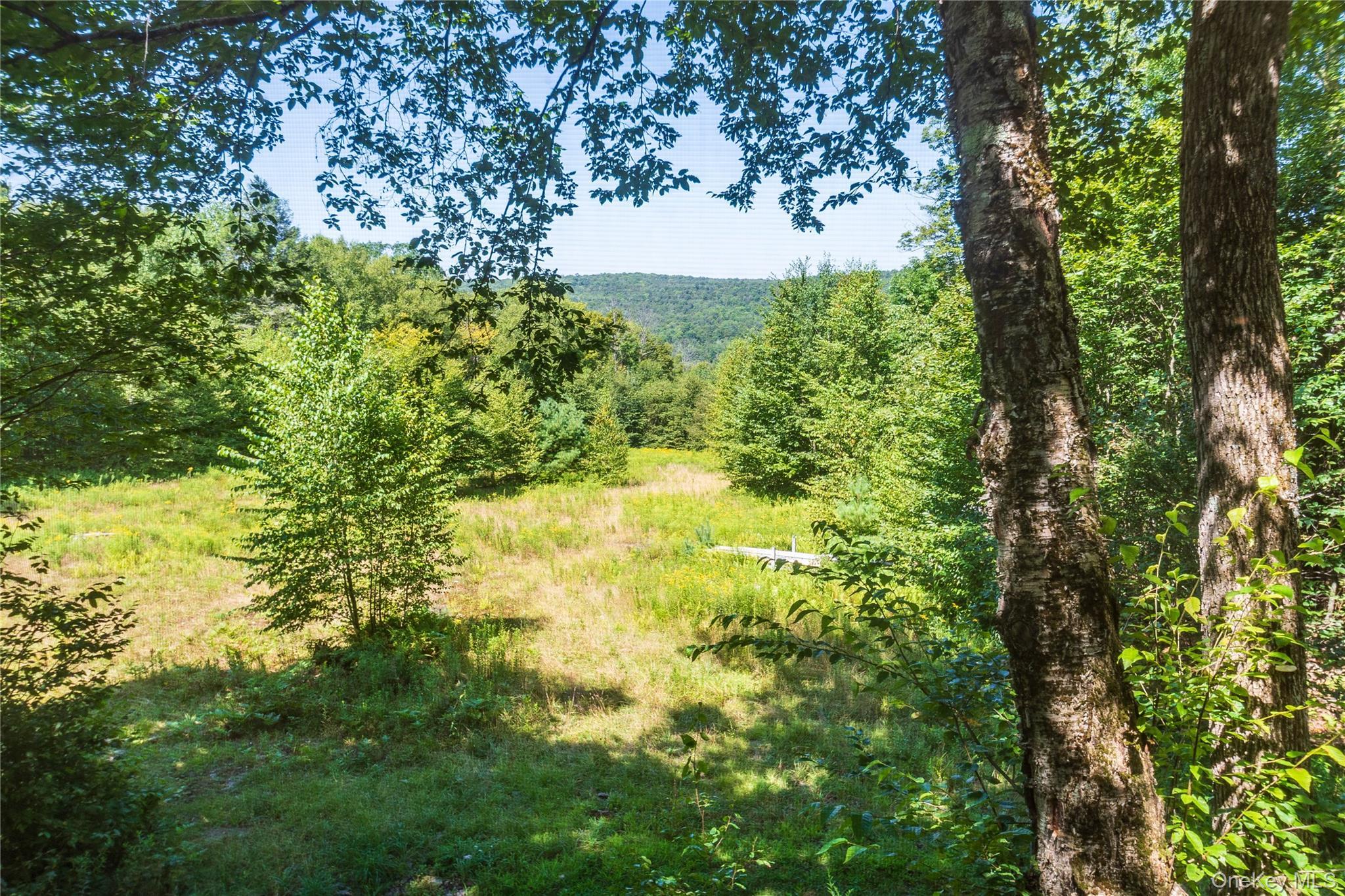 Single Family Grandview Delaware County, NY 13783, MLS-982605-38