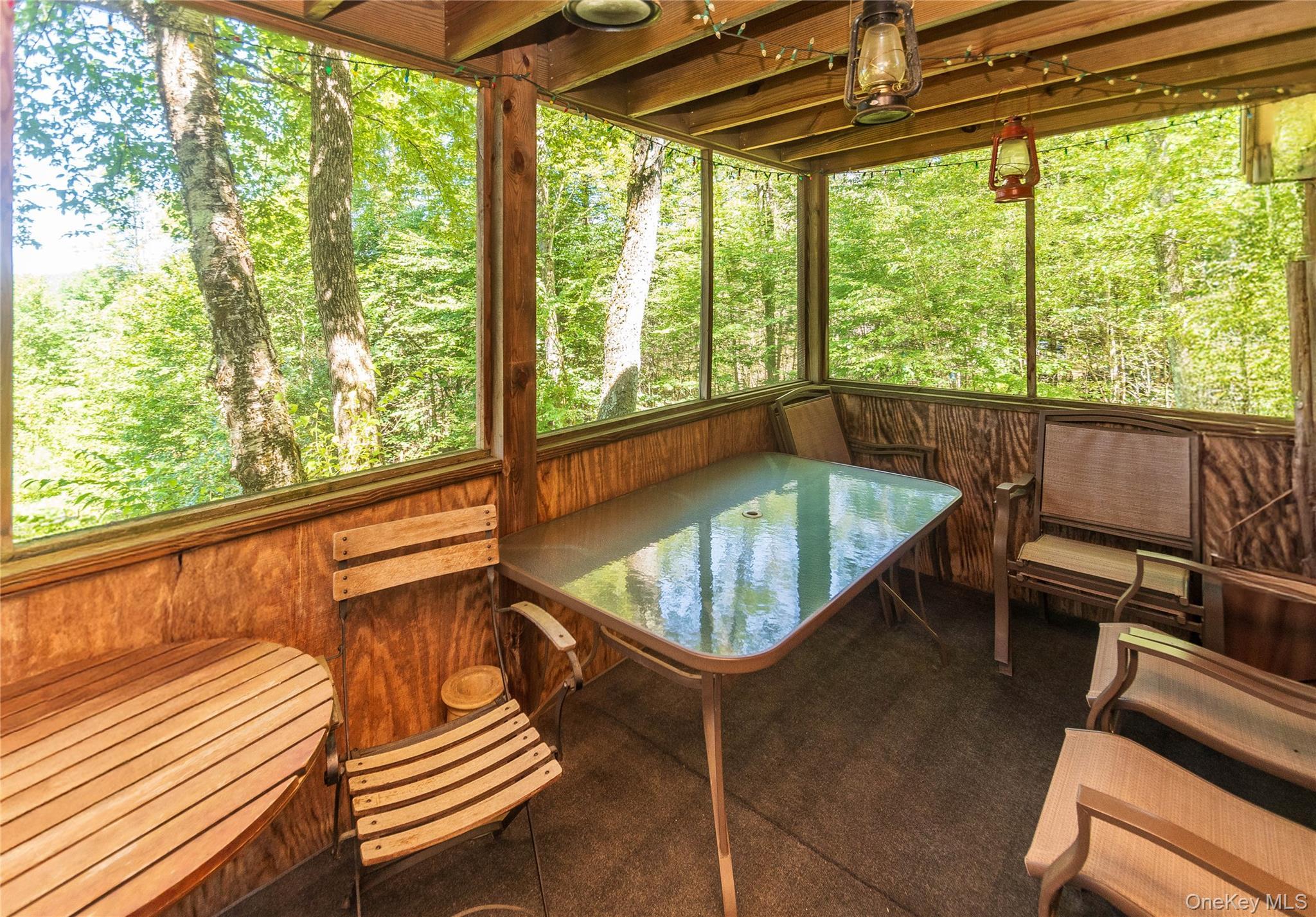 Single Family Grandview Delaware County, NY 13783, MLS-982605-40