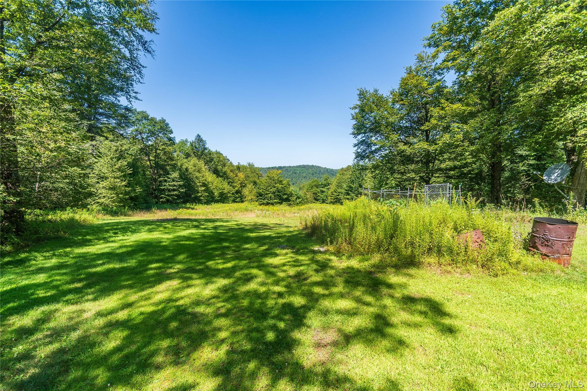 Single Family Grandview Delaware County, NY 13783, MLS-982605-48