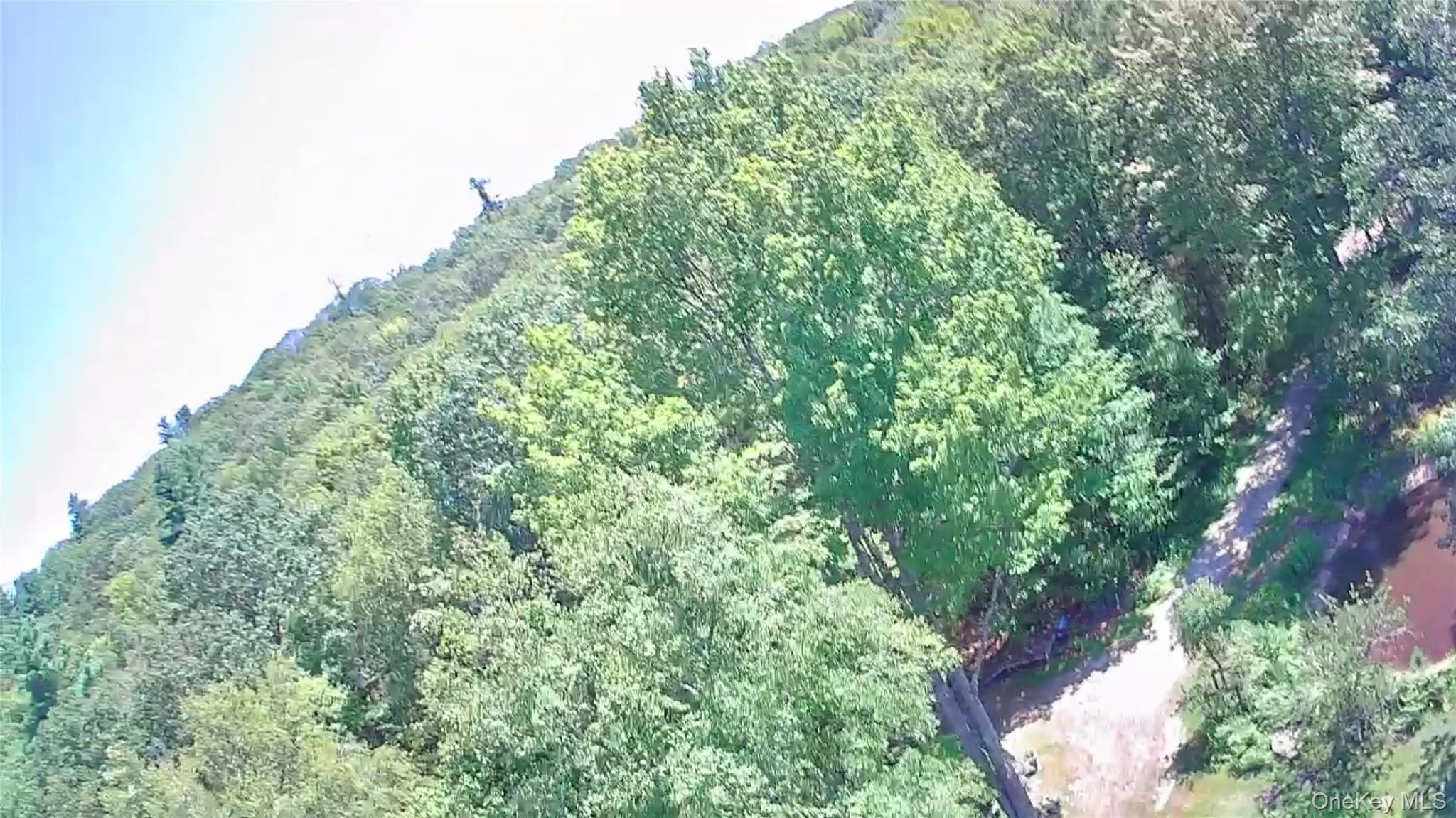 Single Family Grandview Delaware County, NY 13783, MLS-982605-49