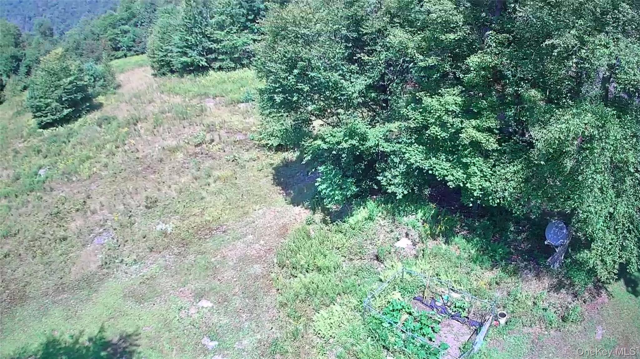 Single Family Grandview  Delaware County, NY 13783, MLS-982605-50