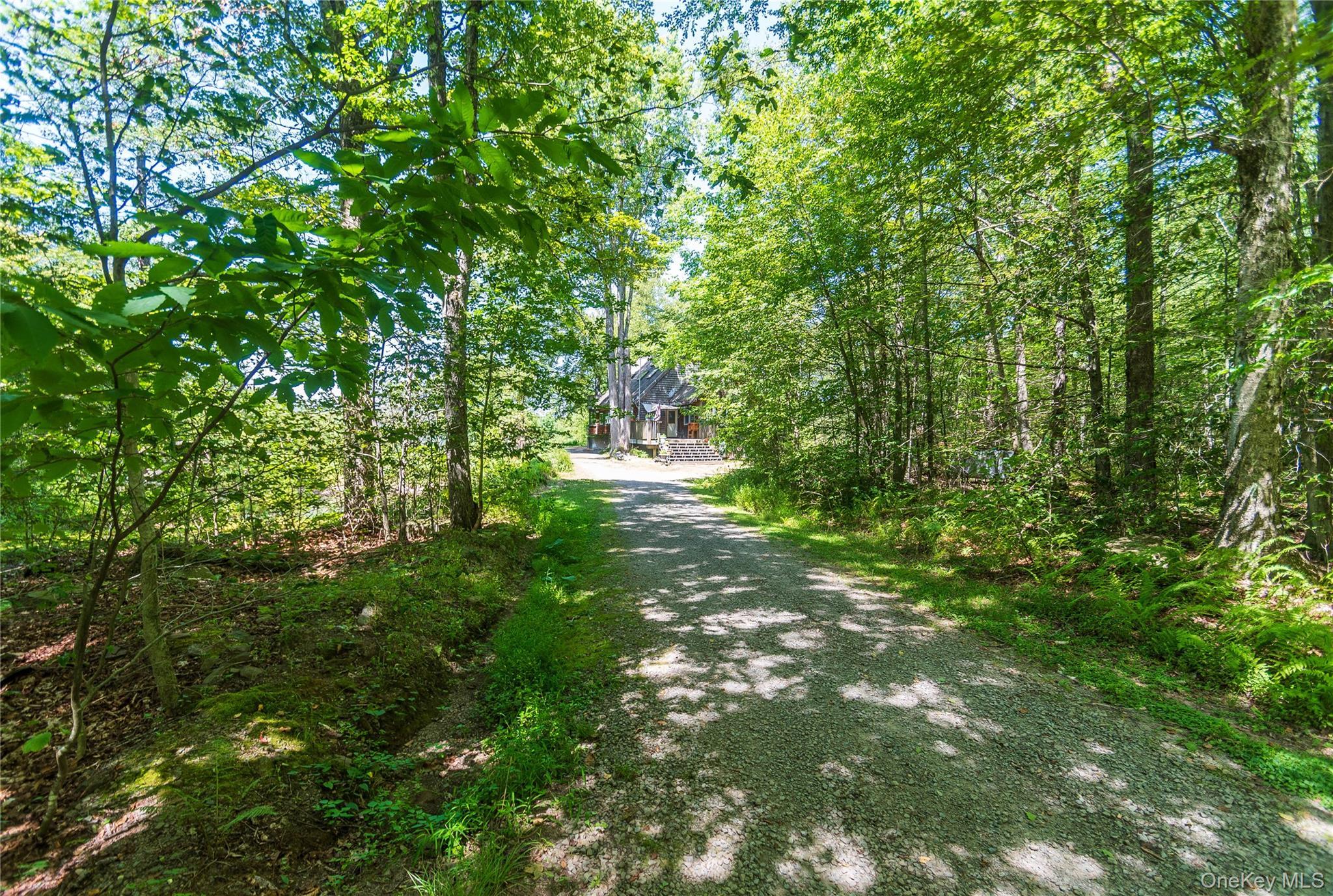 Single Family Grandview Delaware County, NY 13783, MLS-982605-7