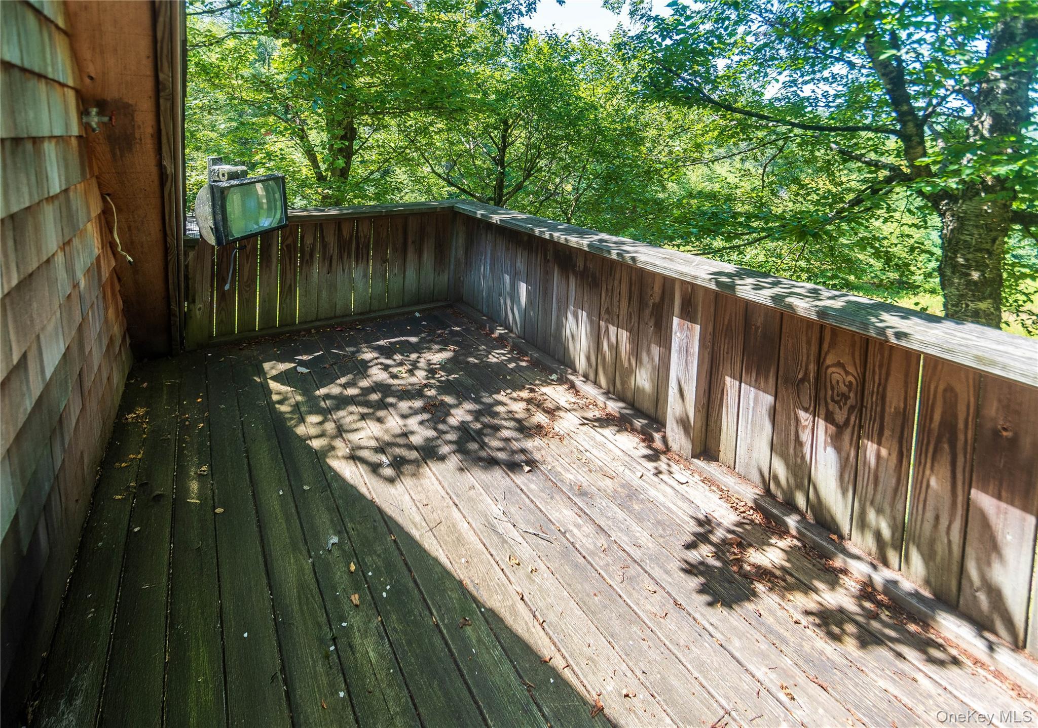 Single Family Grandview Delaware County, NY 13783, MLS-982605-9