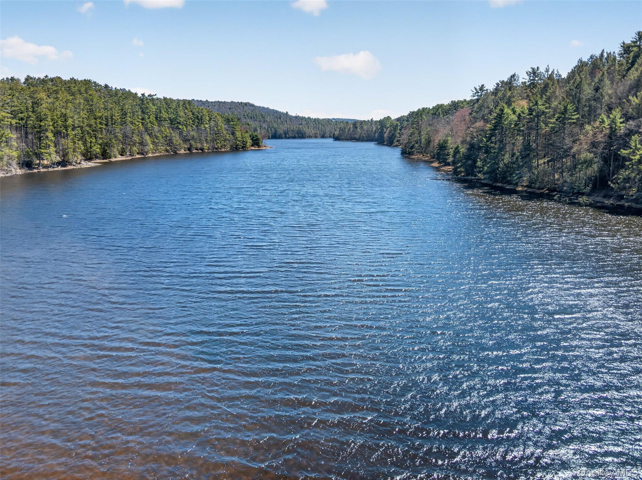 Single Family Forestburgh  Sullivan County, NY 12737, MLS-982625-38