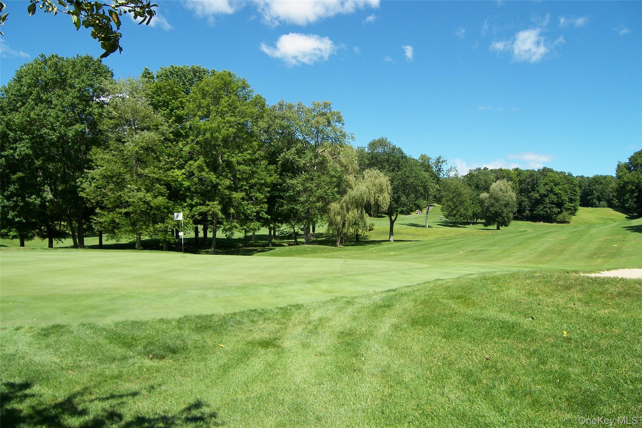 Condo Heritage Hills  Westchester County, NY 10589, MLS-982636-24