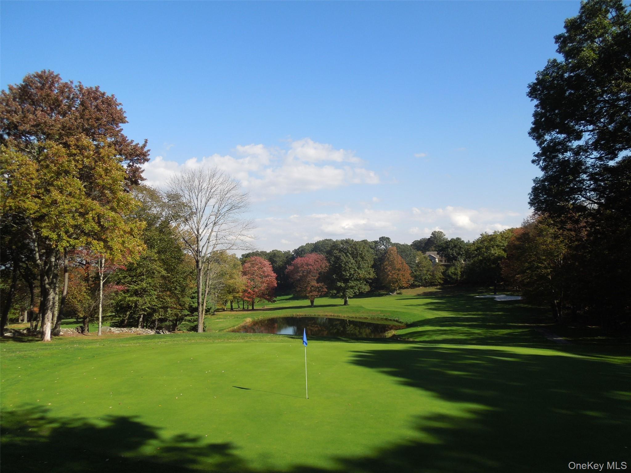 Condo Heritage Hills  Westchester County, NY 10589, MLS-982636-25