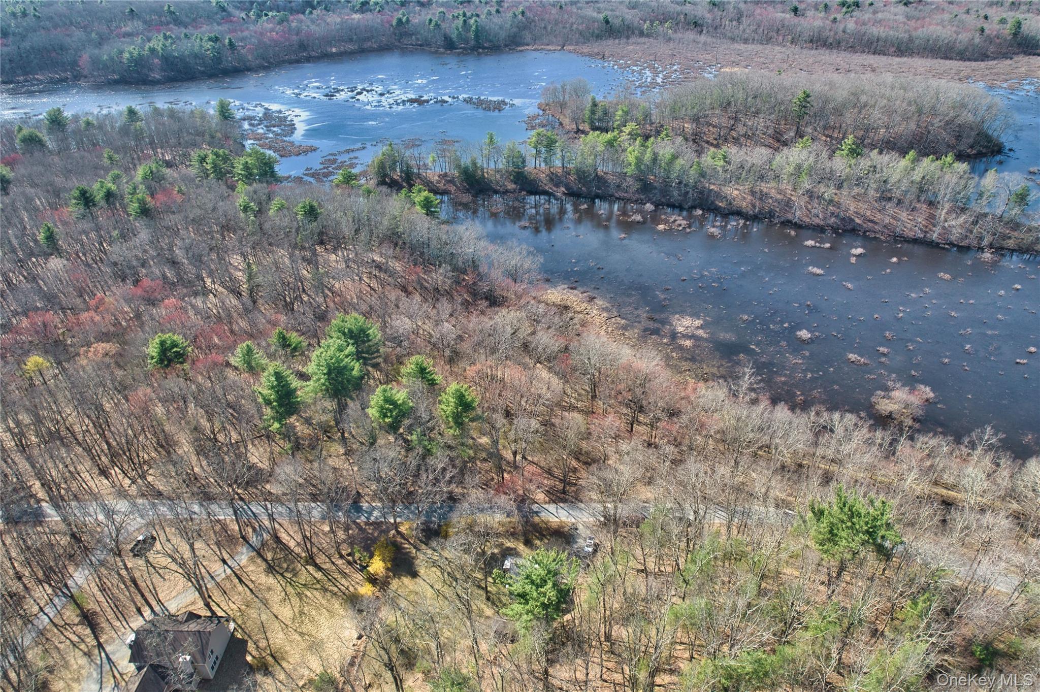 Single Family South  Sullivan County, NY 12790, MLS-982652-33