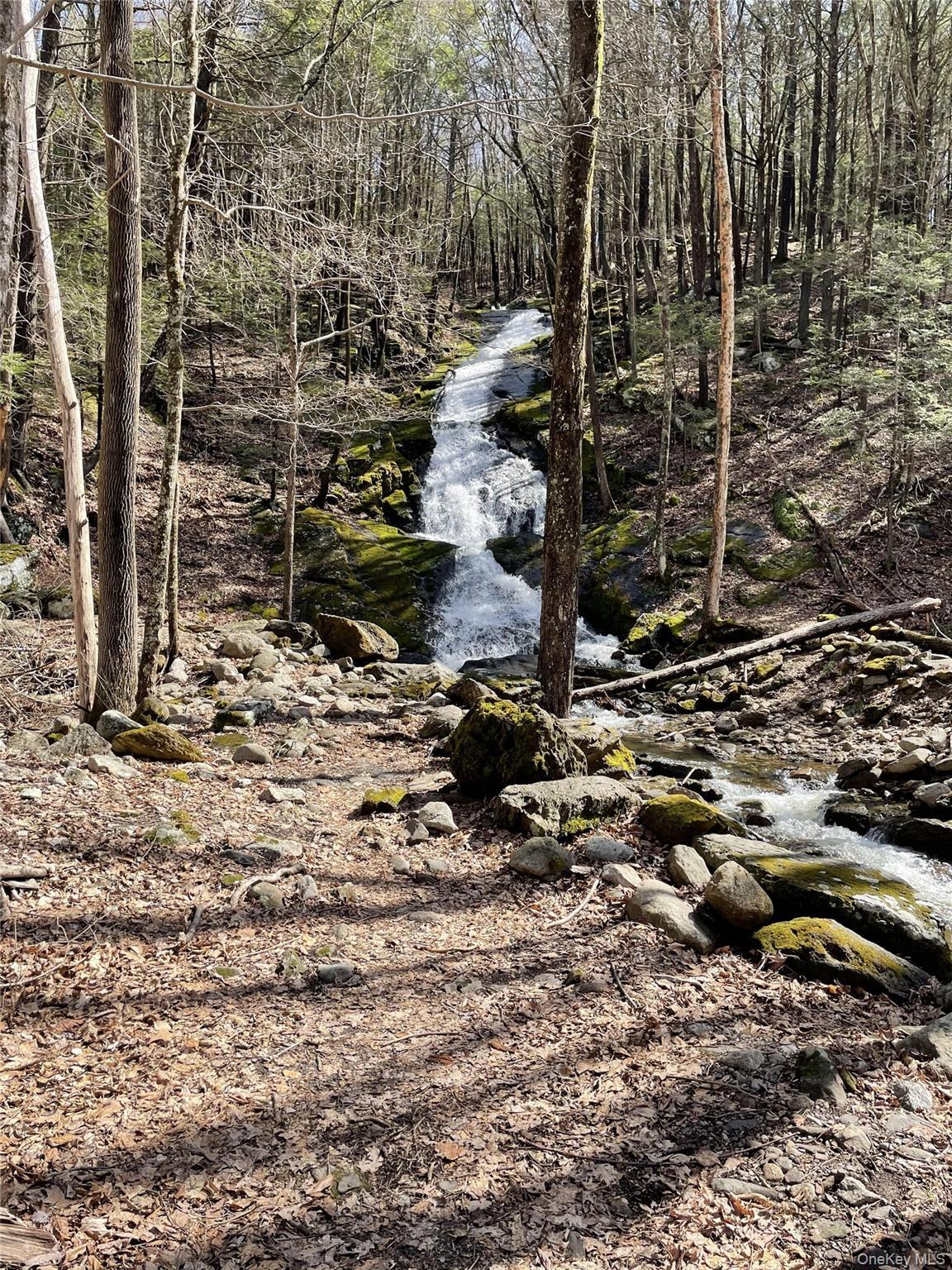 Single Family South  Sullivan County, NY 12790, MLS-982652-5