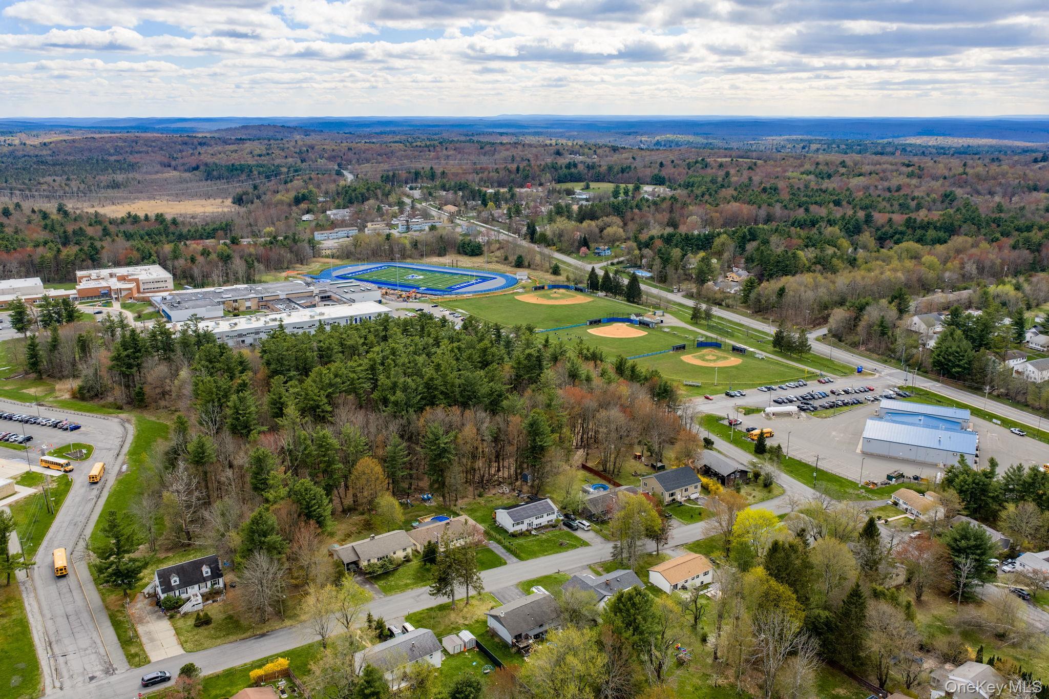 Single Family Atwell  Sullivan County, NY 12701, MLS-982787-34