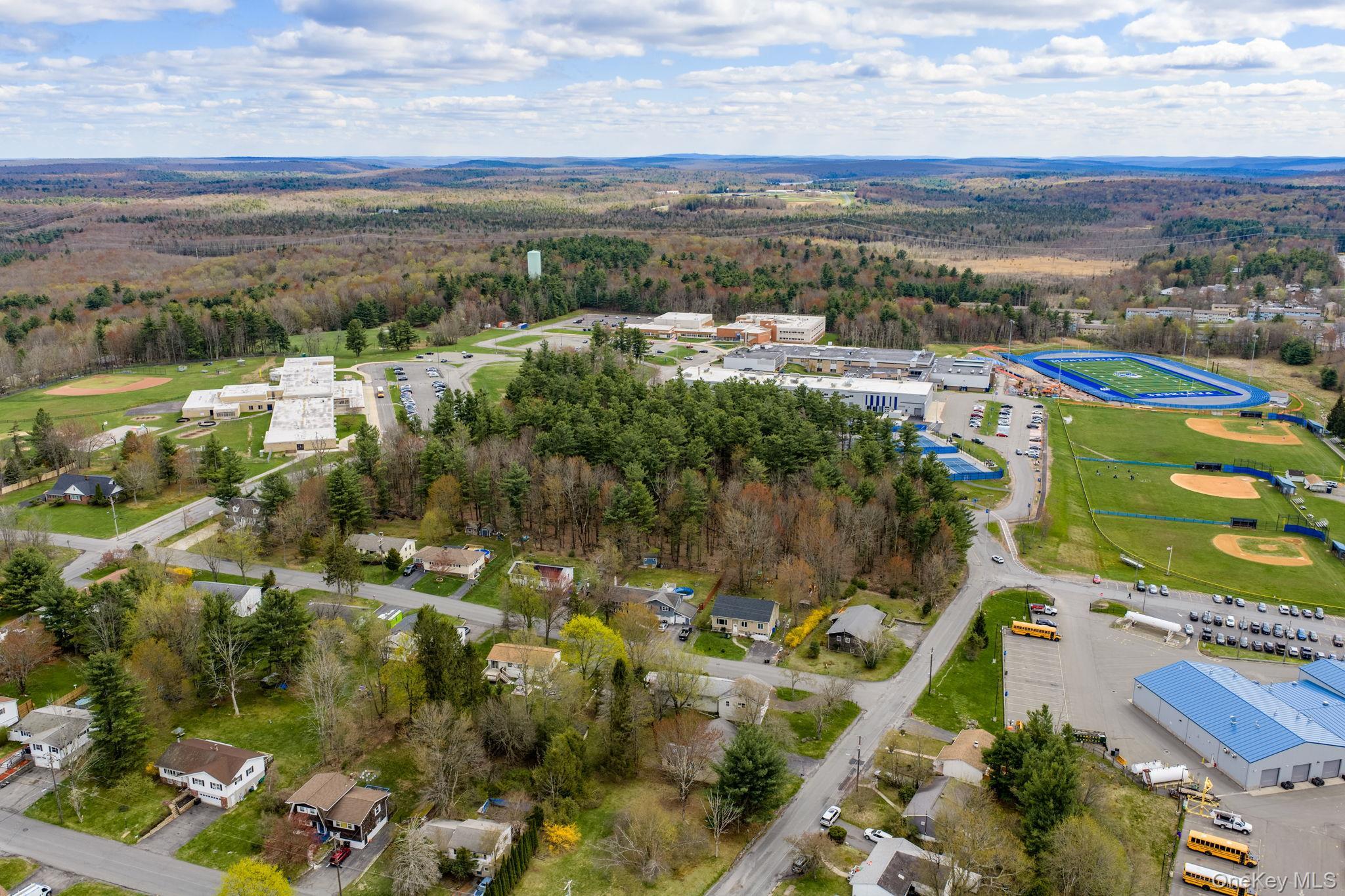 Single Family Atwell  Sullivan County, NY 12701, MLS-982787-41