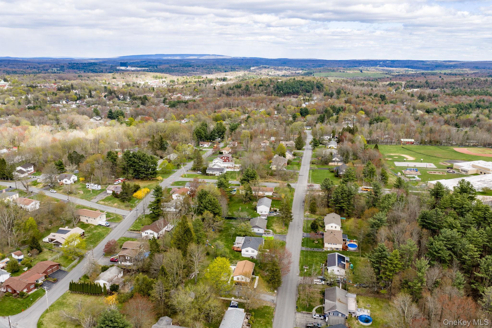 Single Family Atwell  Sullivan County, NY 12701, MLS-982787-44