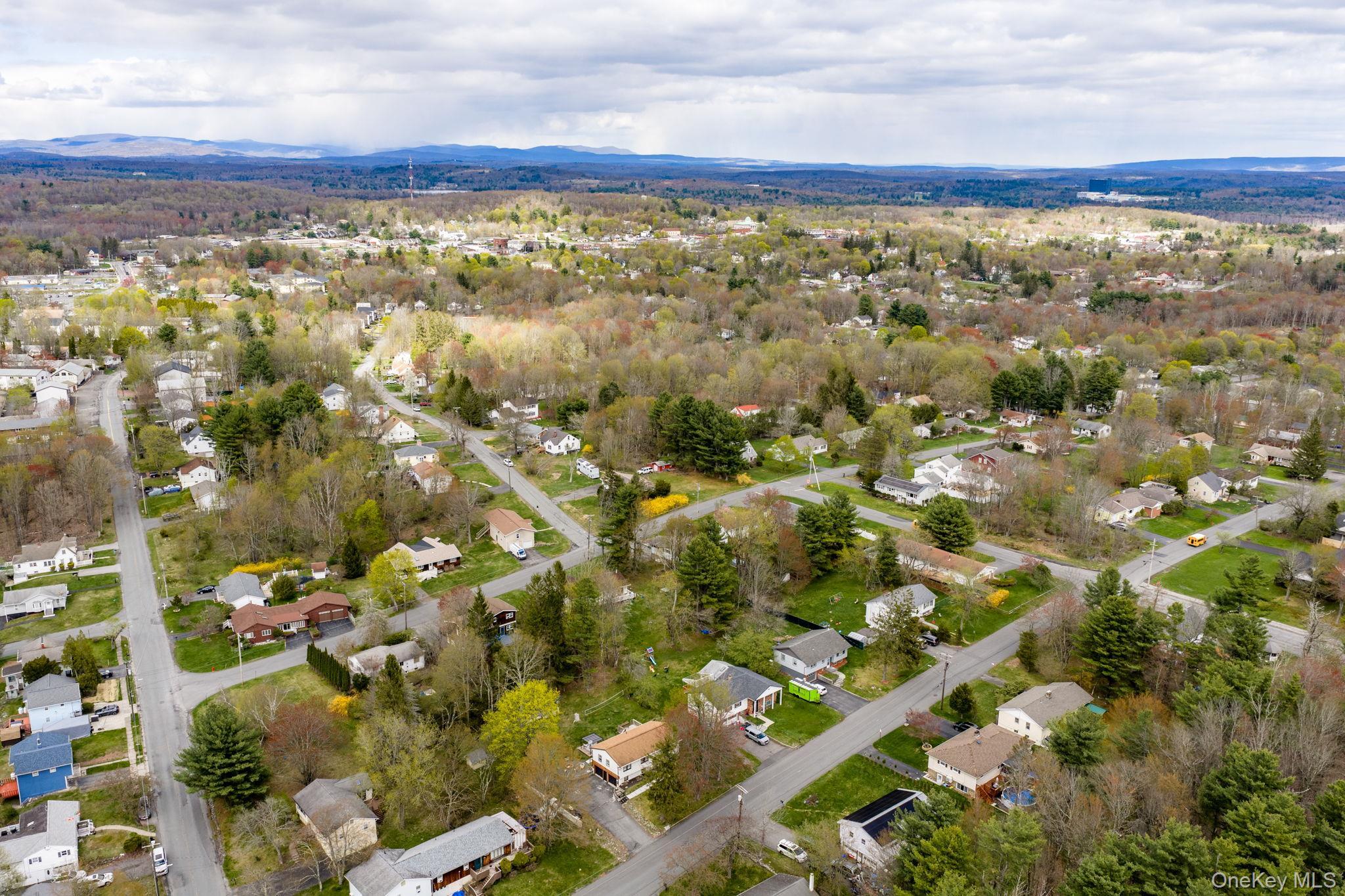 Single Family Atwell  Sullivan County, NY 12701, MLS-982787-45